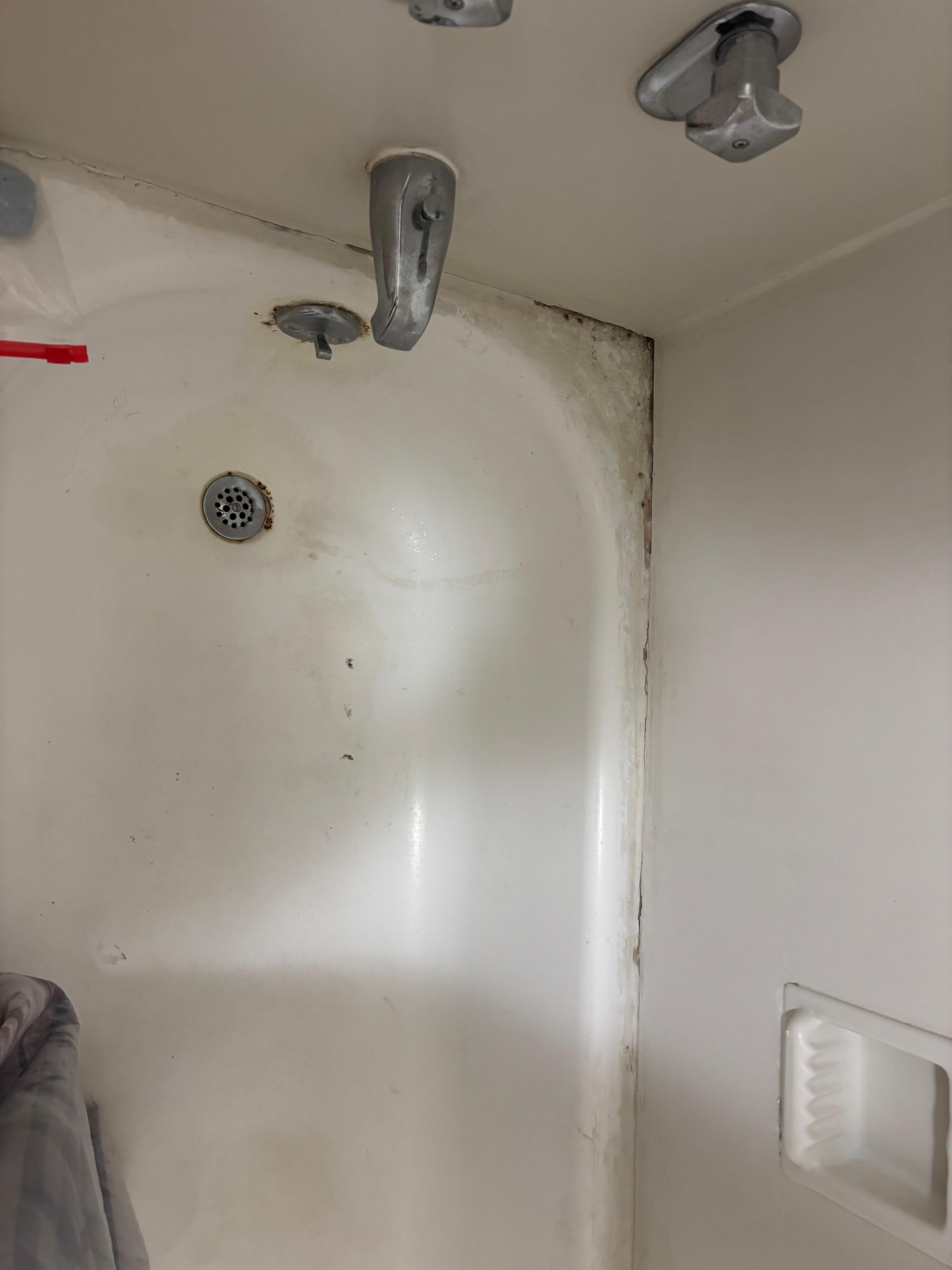 Moldy and rusty bathtub