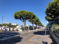 Straße entlang das Hafens, am Ende der Straße ist die Unterkunft