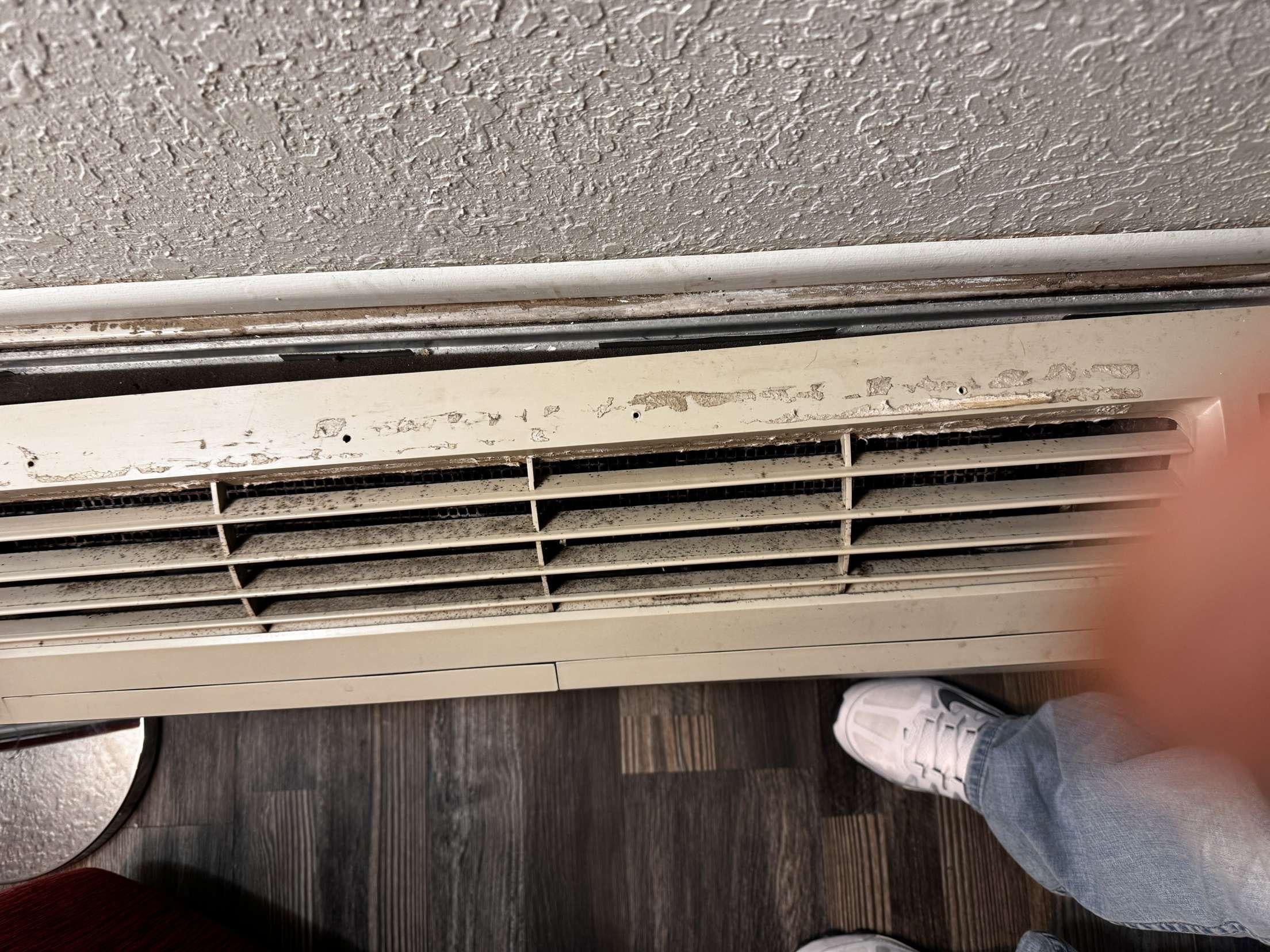 Mold on the heater/ a/c unit