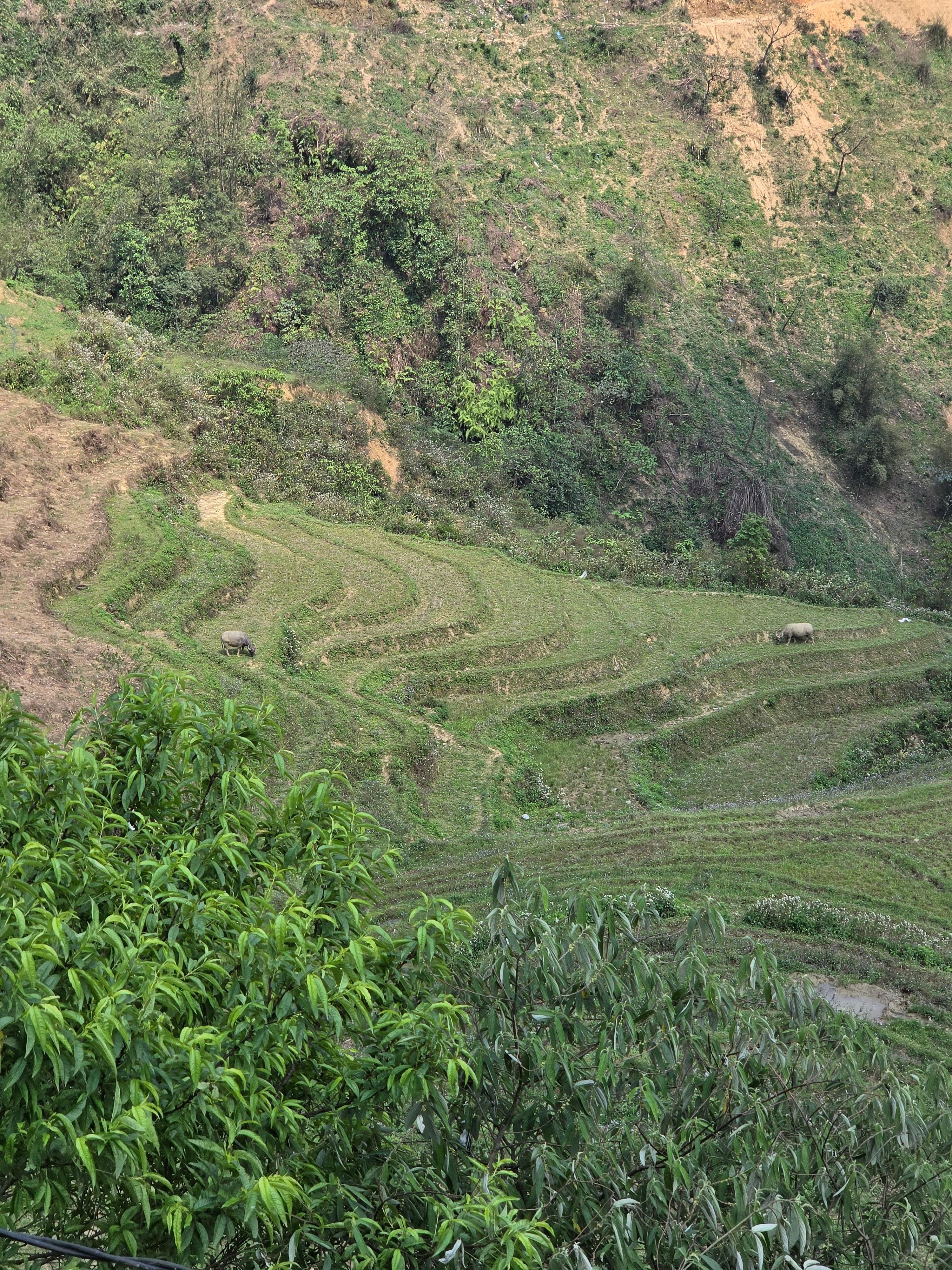 One of many views from the balcony 