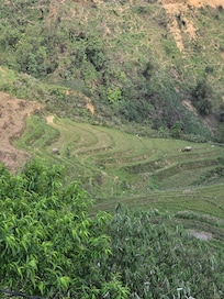 One of many views from the balcony