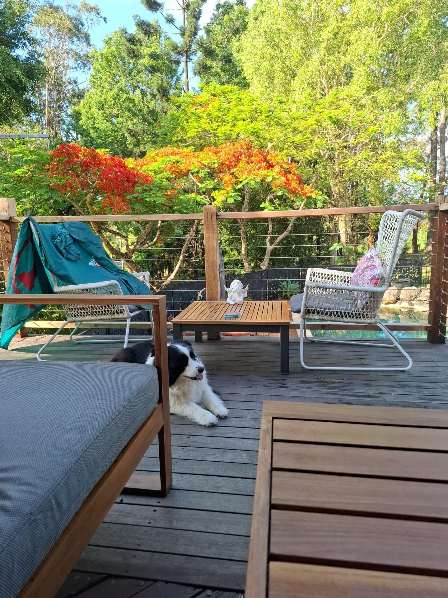 We spent a fair bit of time  enjoying the vista