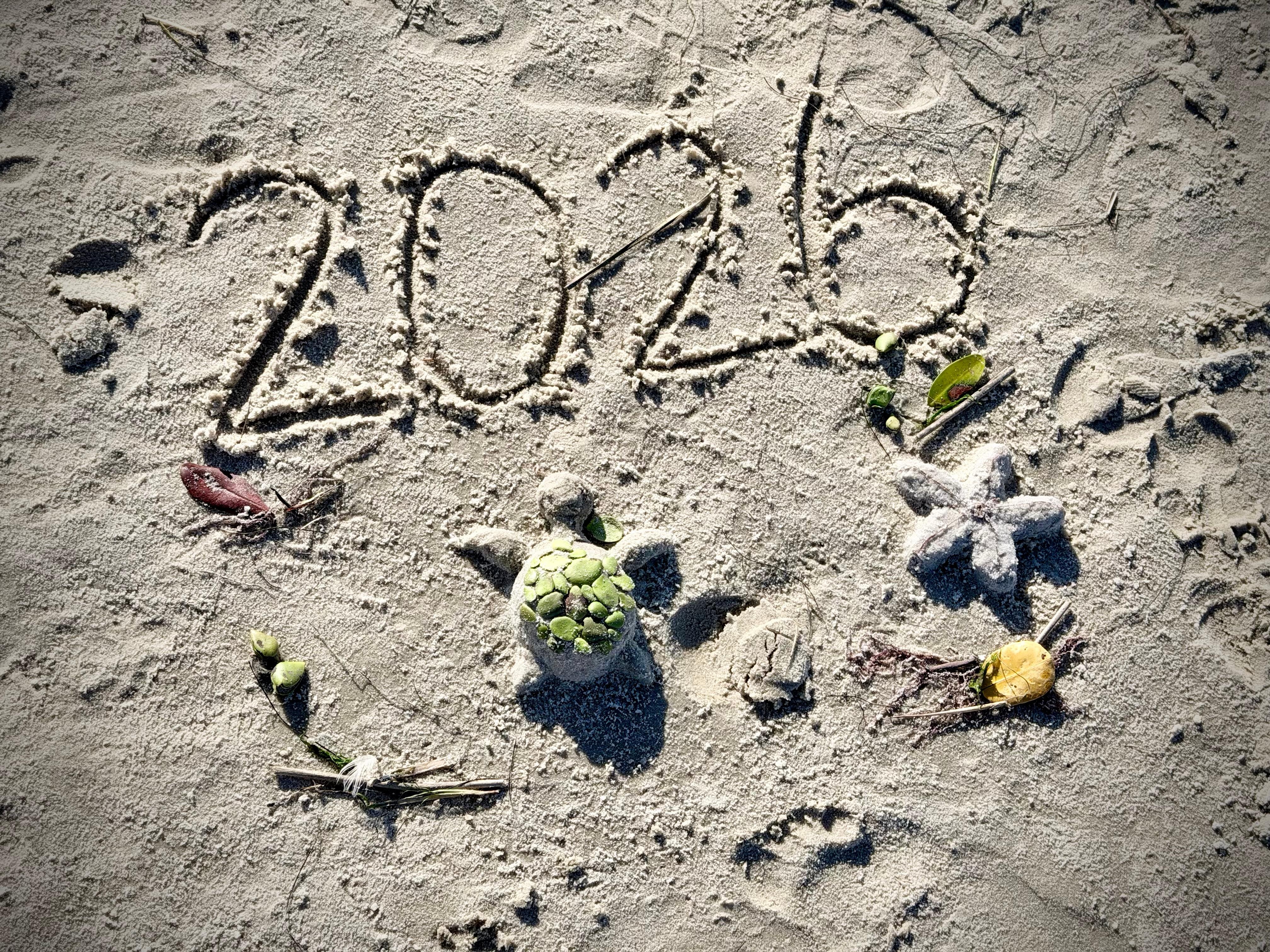 Happy New year from Fort Island beach.