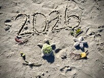 Happy New year from Fort Island beach.