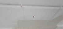 Blood stains on the wall