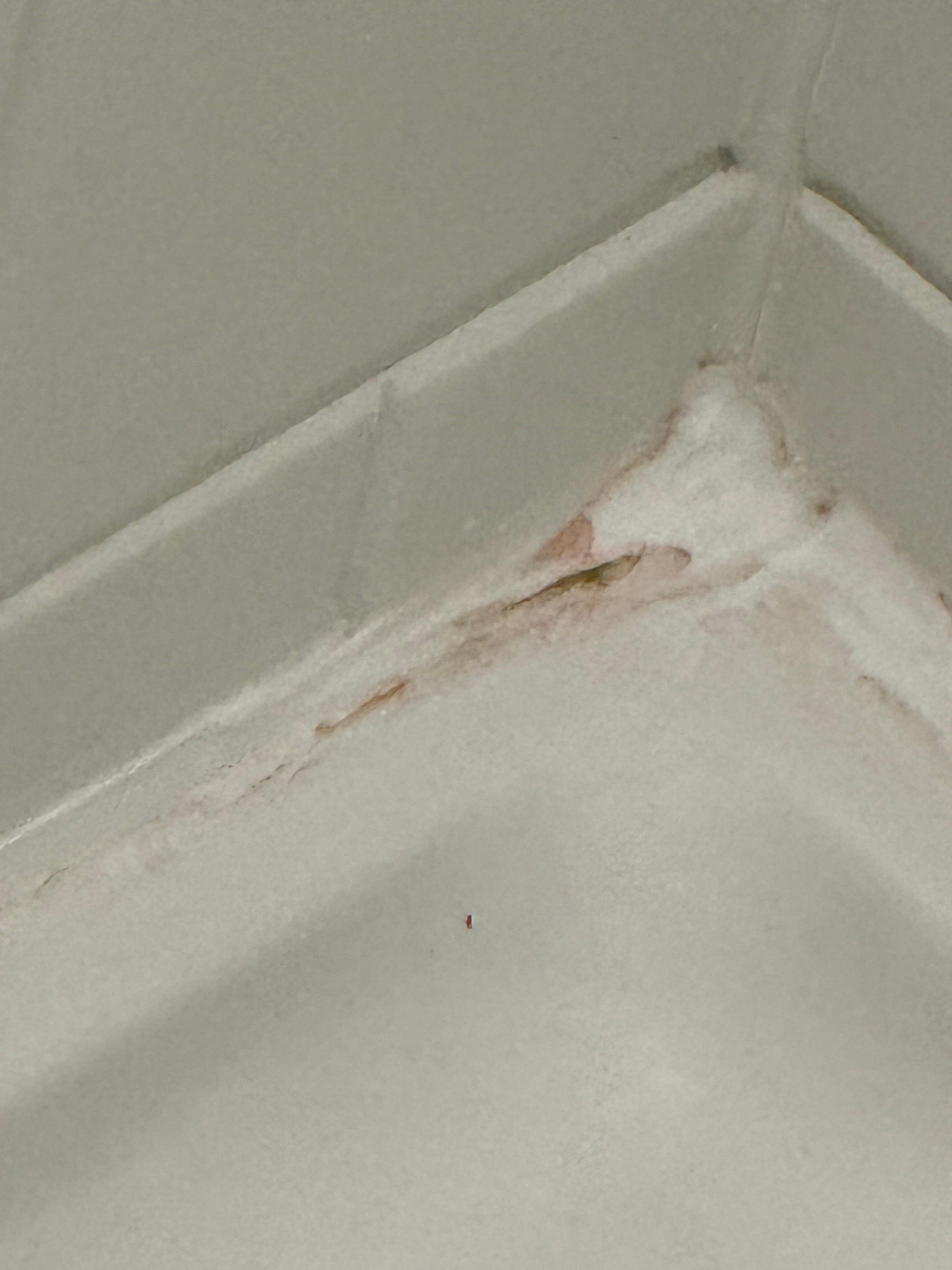 Mold in the shower.  Per housekeeper 