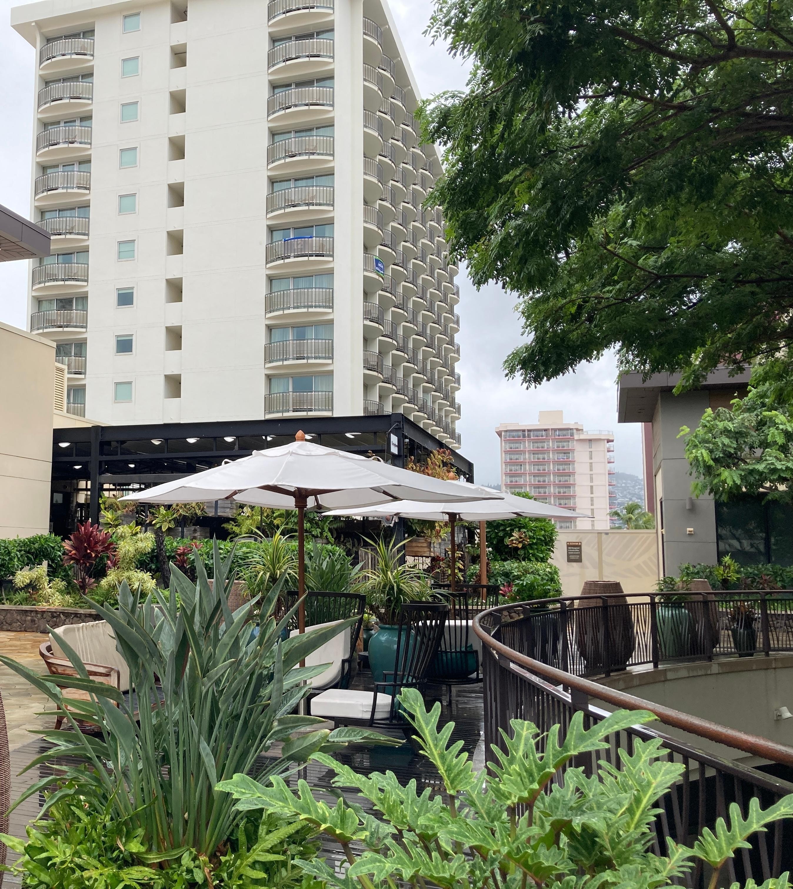 The Laylow viewed from the International Market