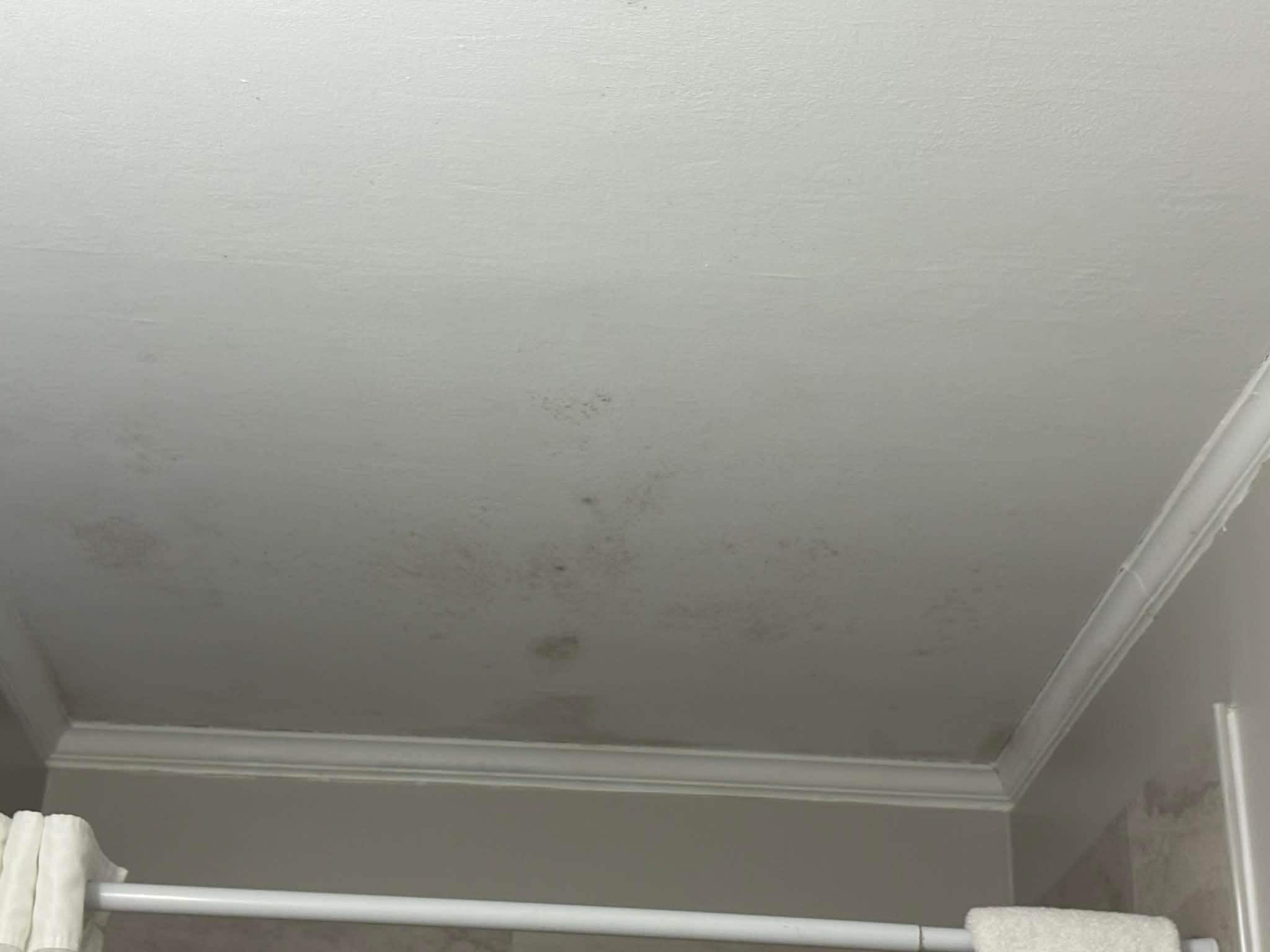 Ceiling over shower with black mold