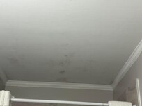 Ceiling over shower with black mold