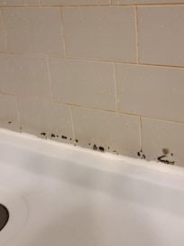 Mold