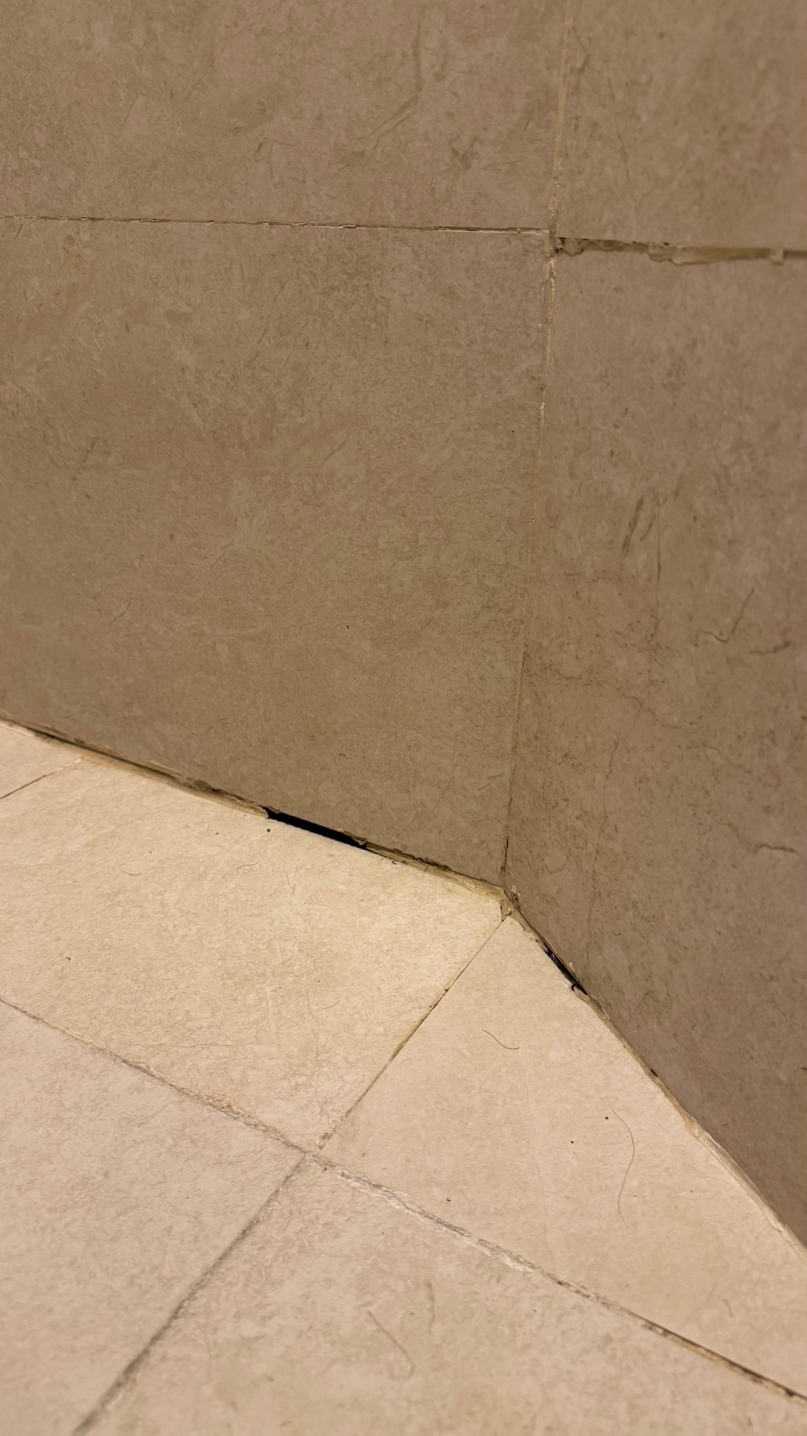 Mold and mildew in shower