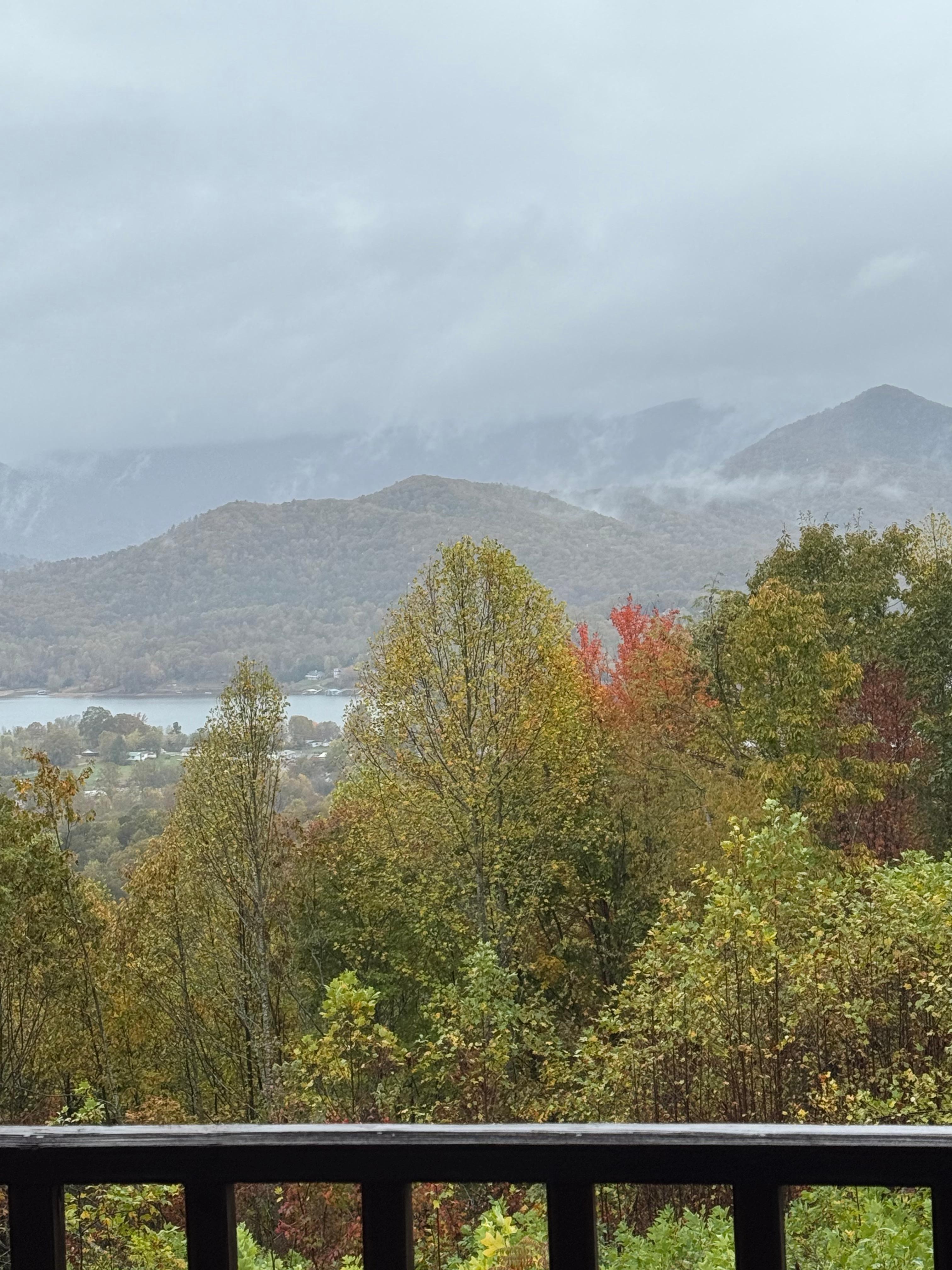 Rainy day looking from deck