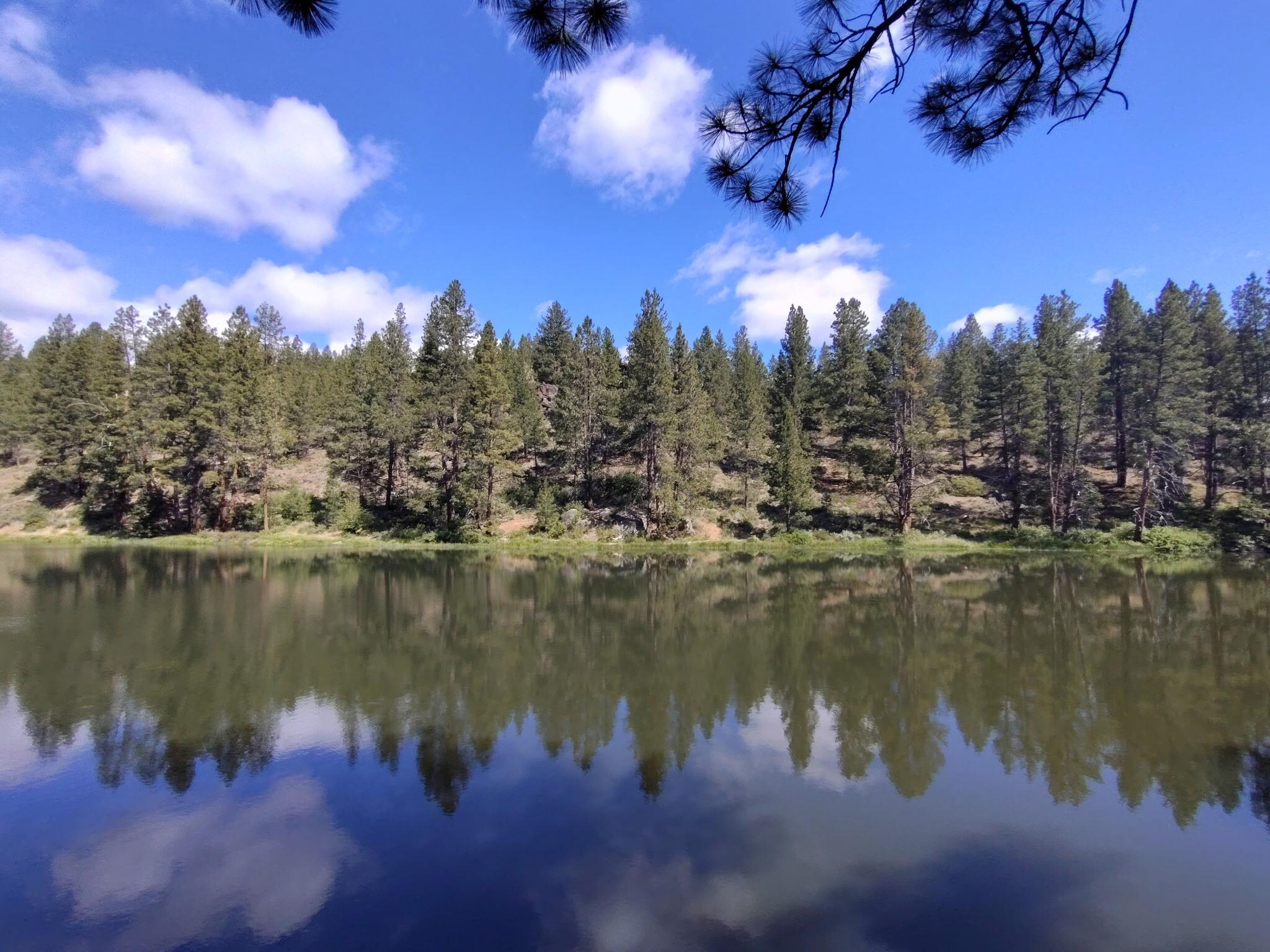 Easy downhill walk to pond