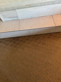 Wet carpet