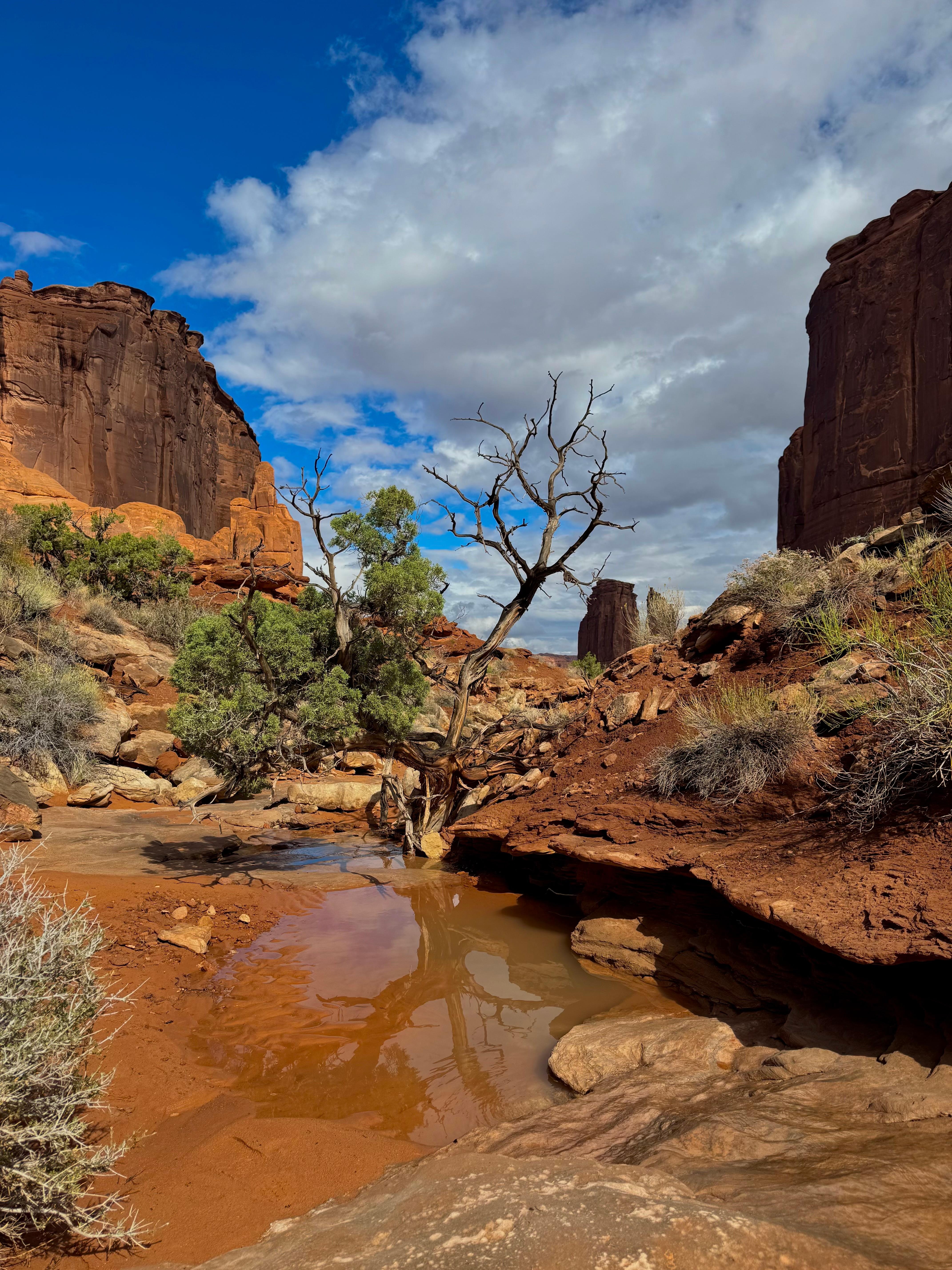 Arches National Park 