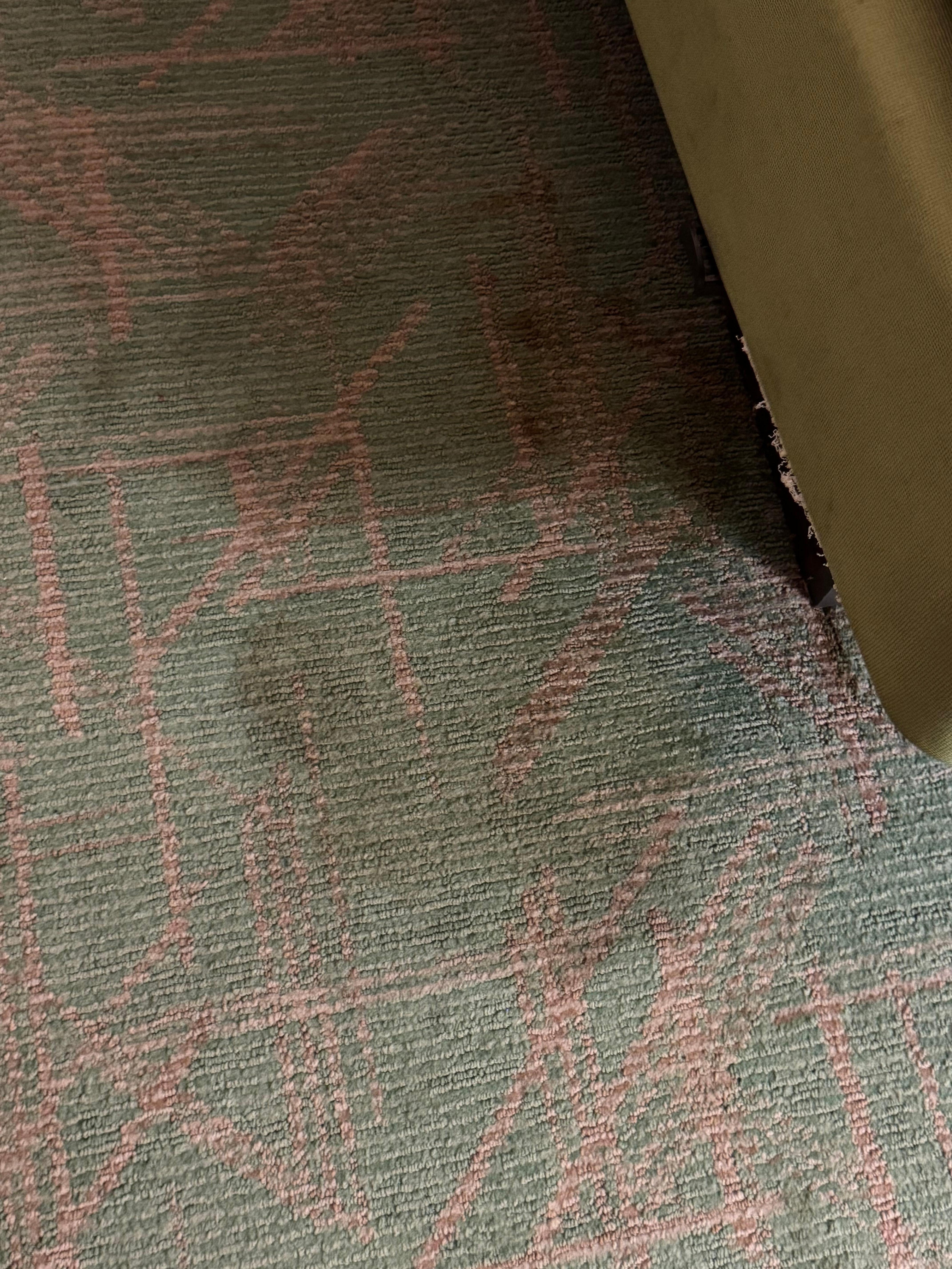 Large blood stain. I couldn’t let my family stay in this filth.