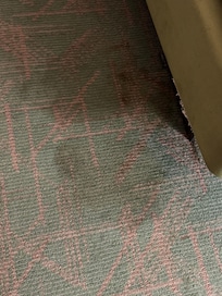 Large blood stain. I couldn’t let my family stay in this filth.