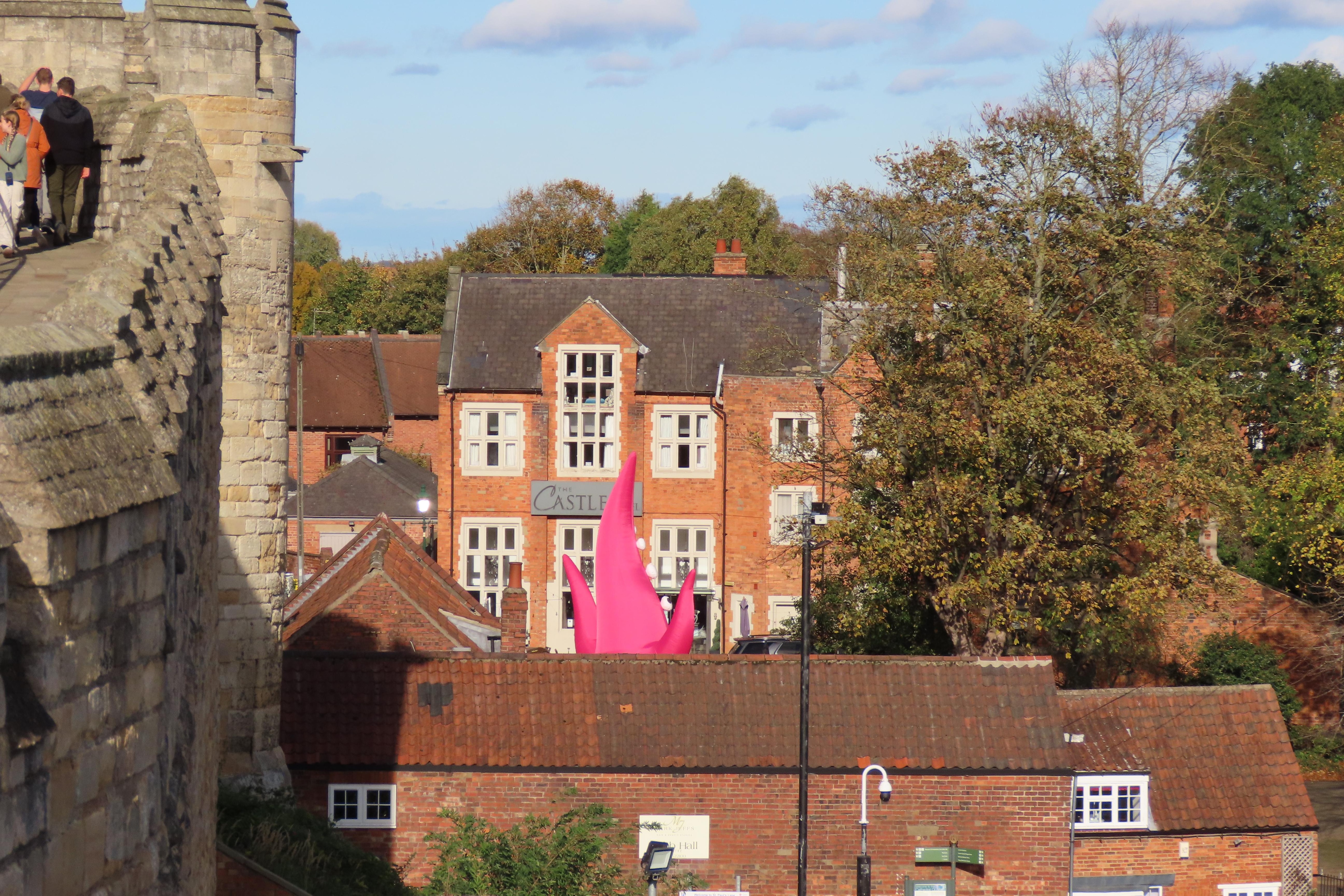 Castle Hotel from the castle wall!