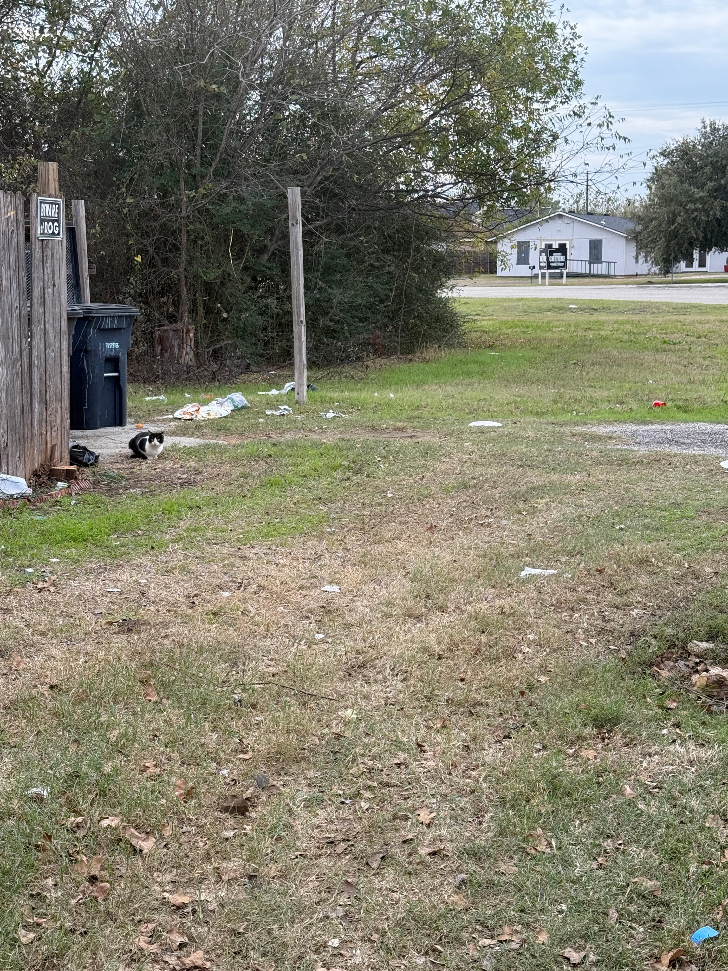 Across the front you can see a cat in the rubbish. this looks to also be the front lawn. Unfortunately there is no specifically defined driveway or safe space for parking. We did not feel safe.