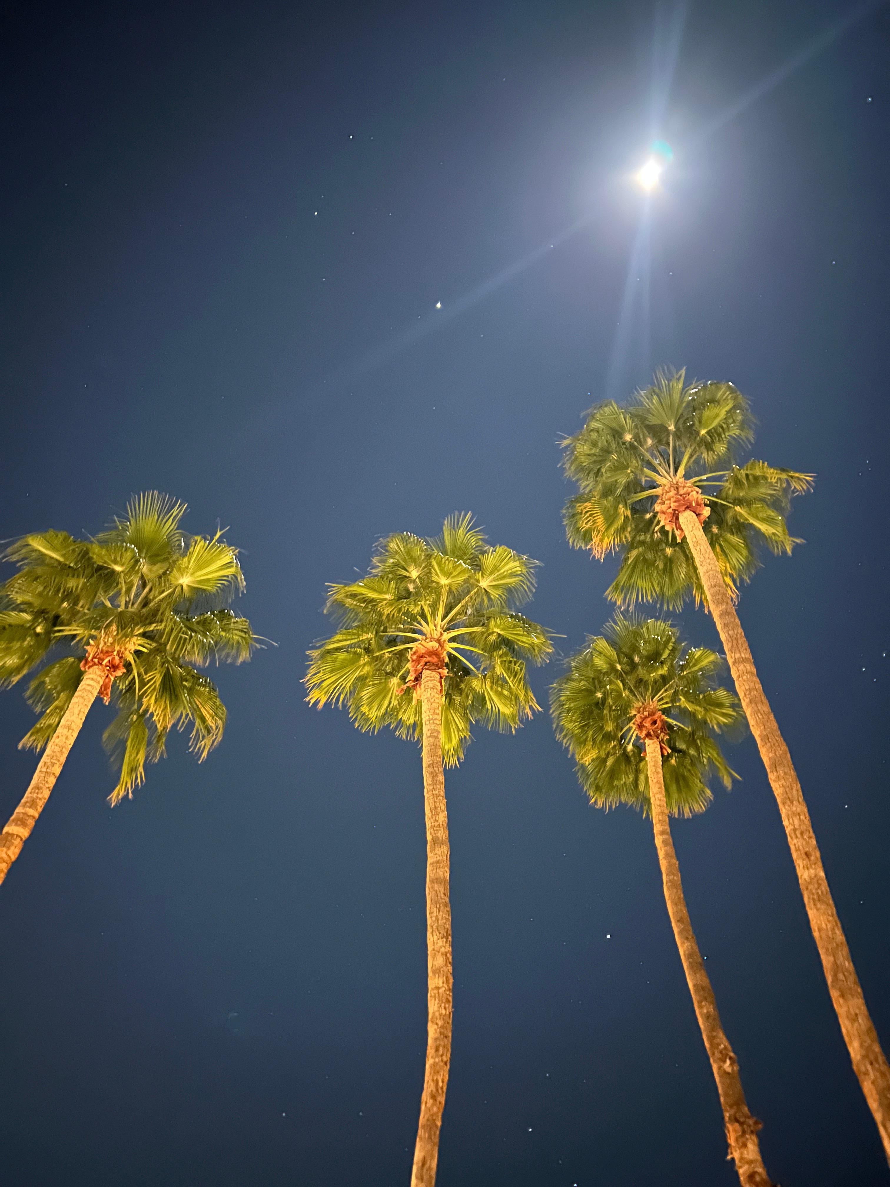 Beautiful night out on the front patio!