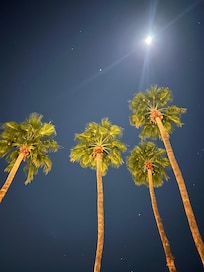 Beautiful night out on the front patio!