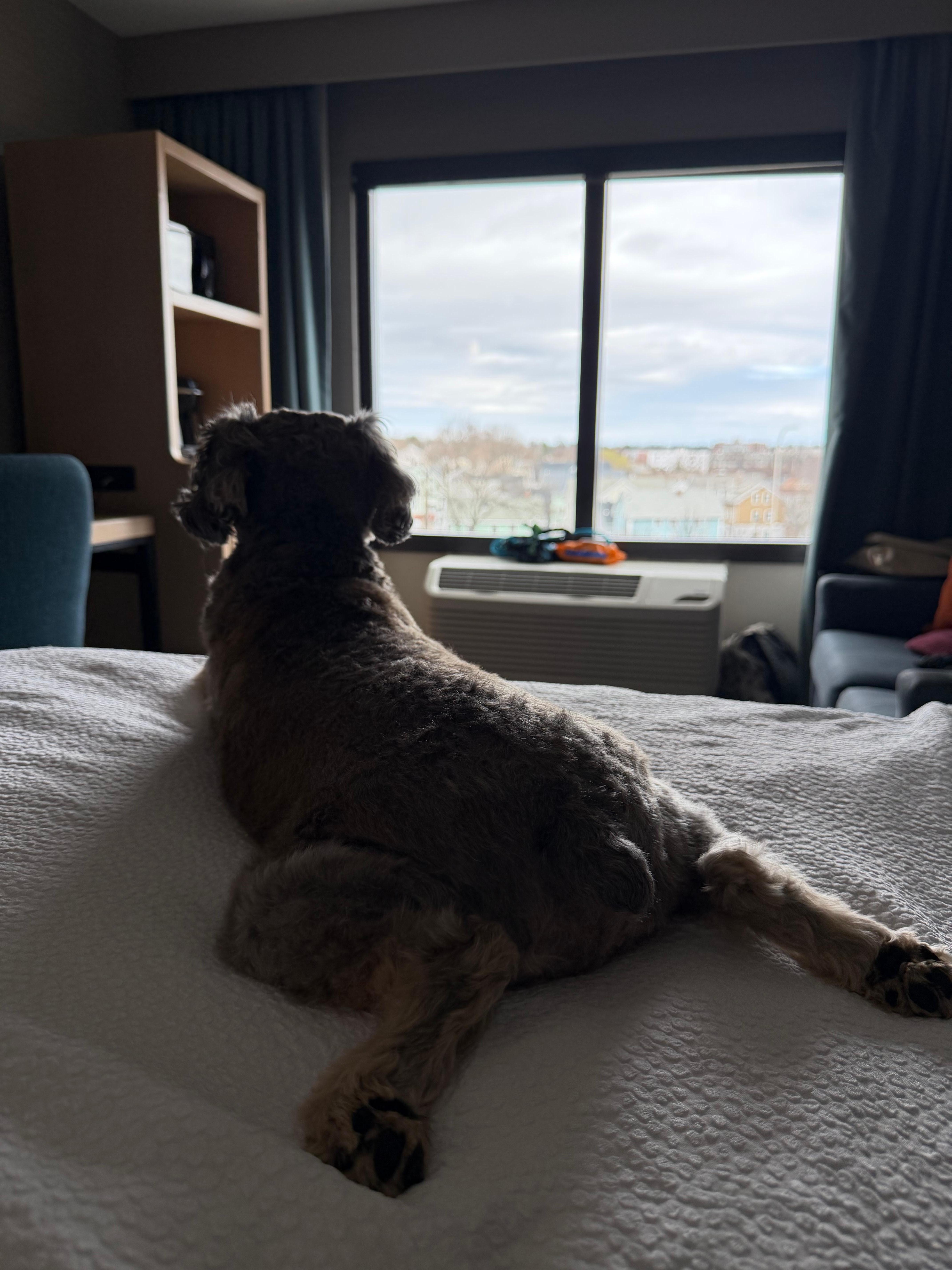 Celebrity Guest showing accommodations.