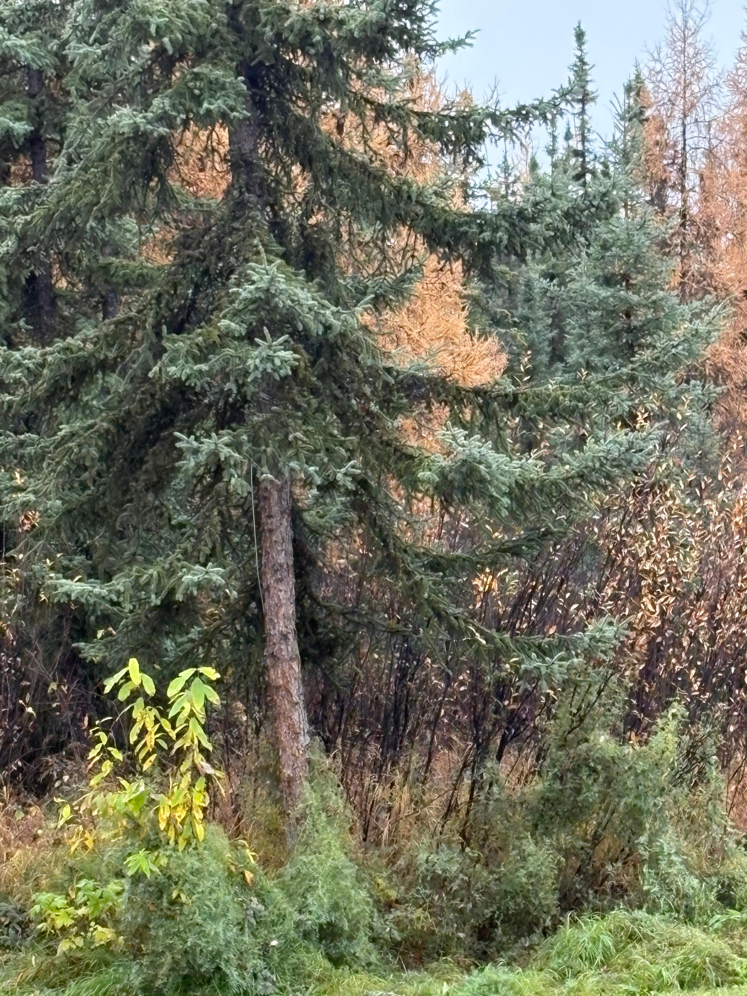 Right outside the front door