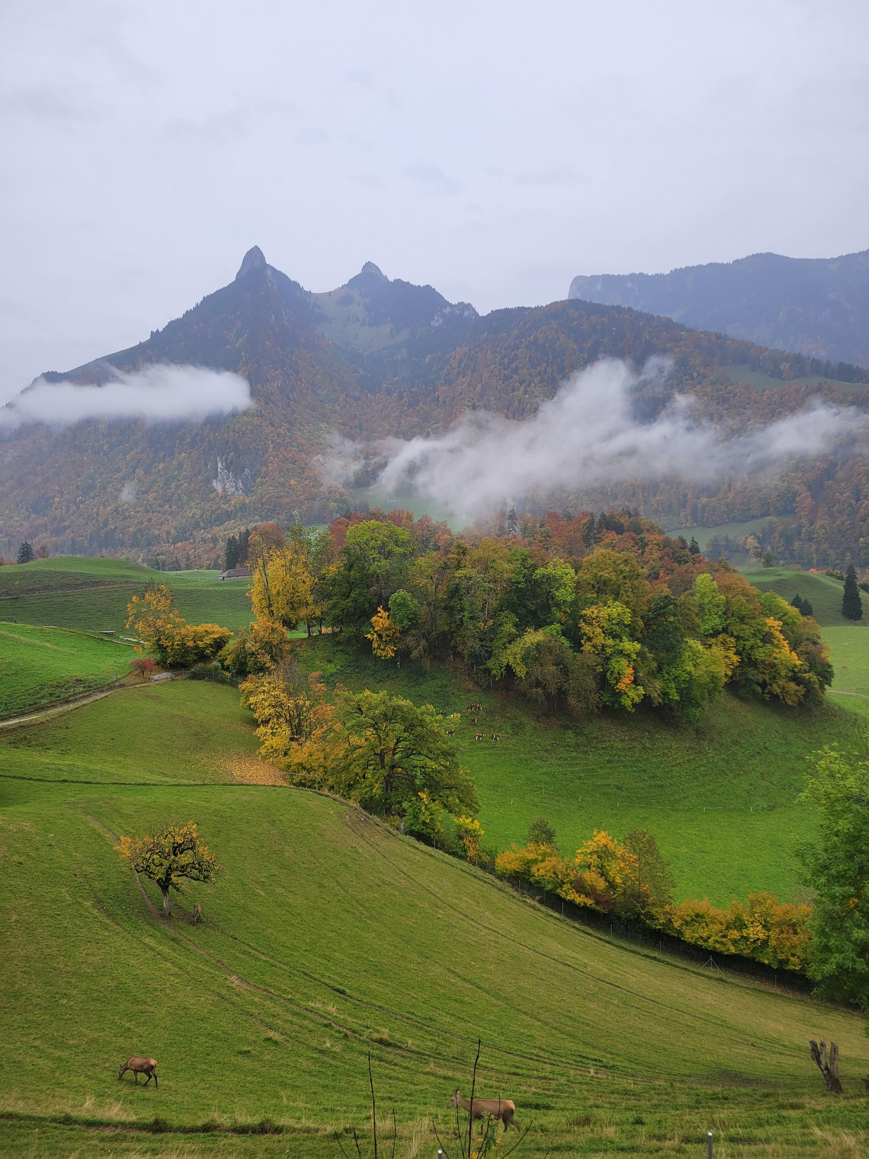 the view from our window