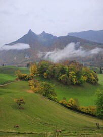 the view from our window