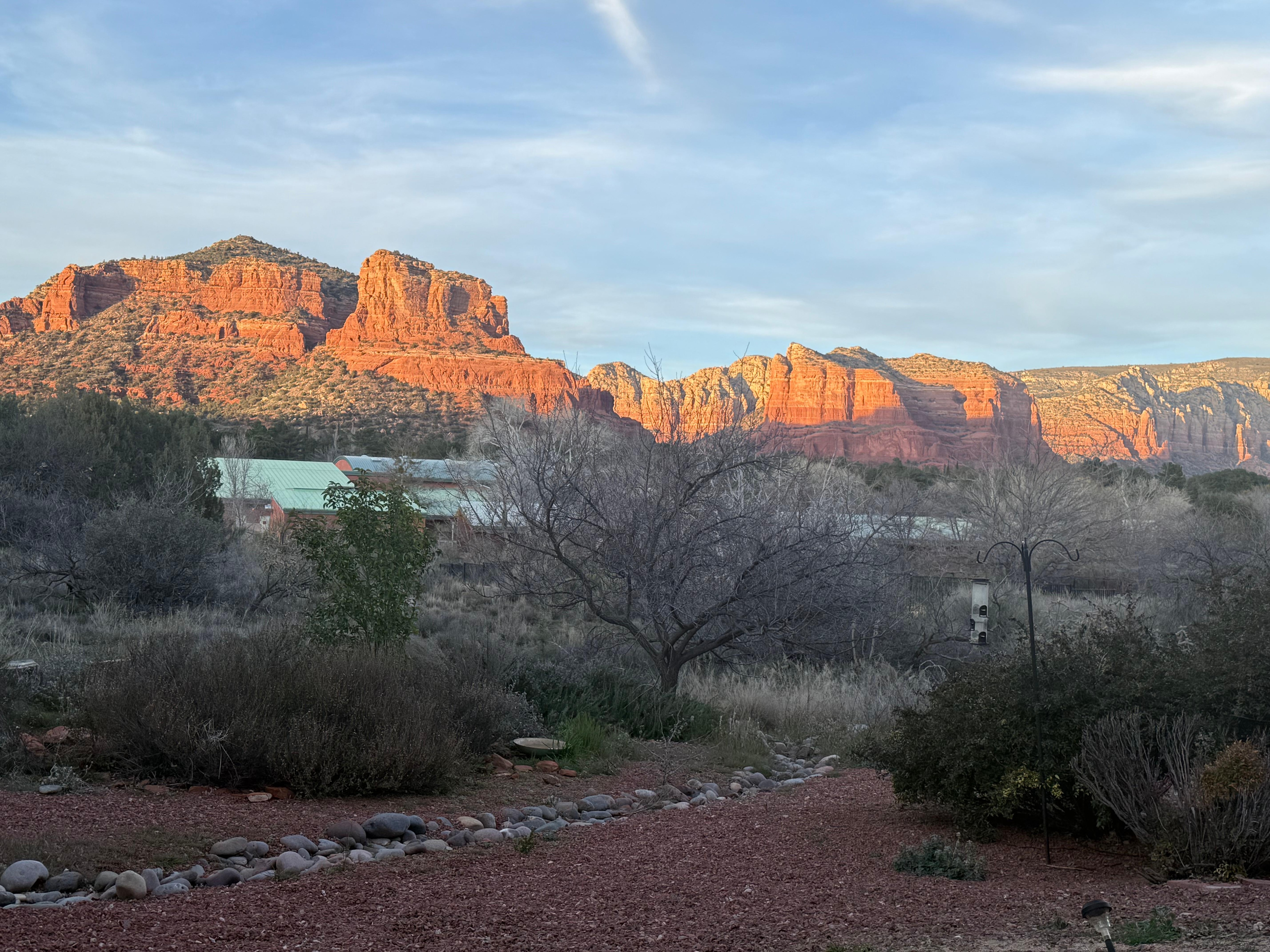 View from the back porch
