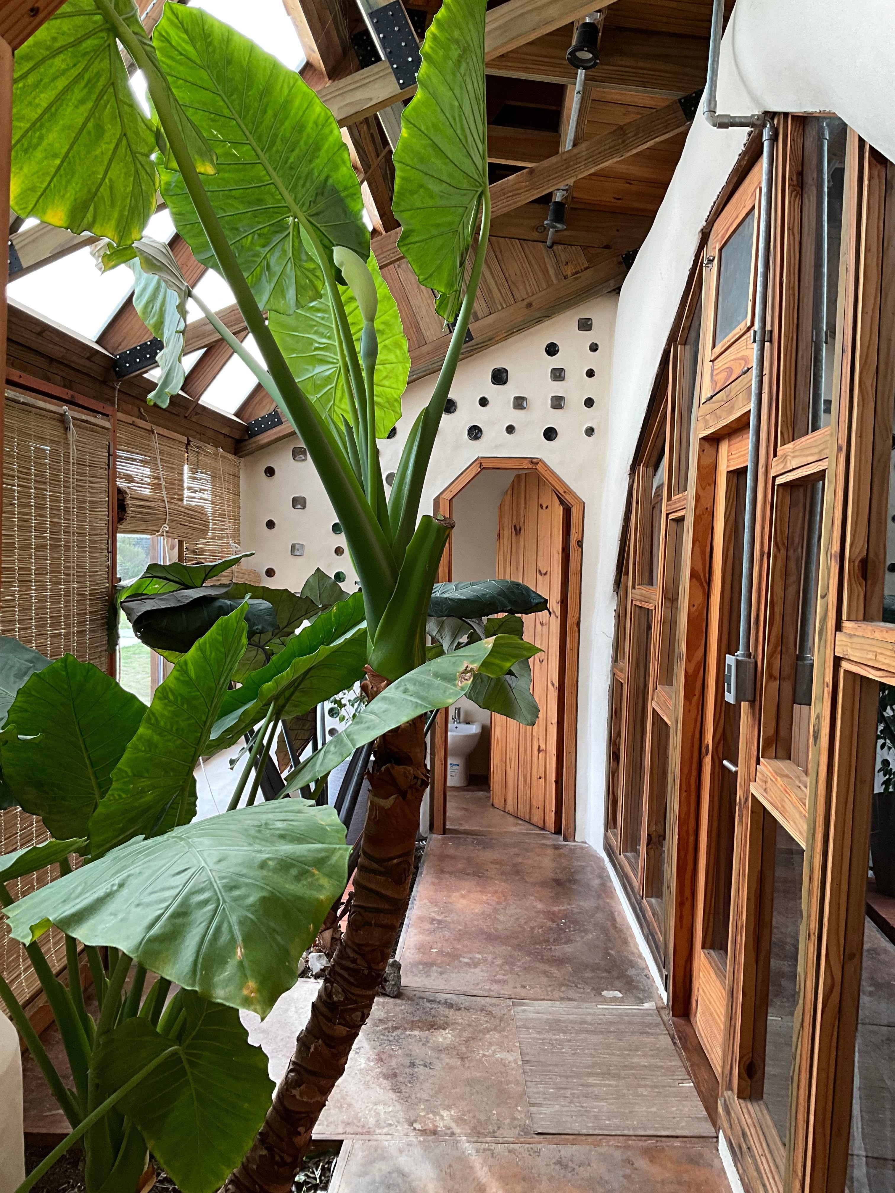 Atrium area of the rooms