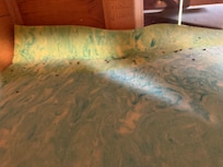 Bugs under mattress.