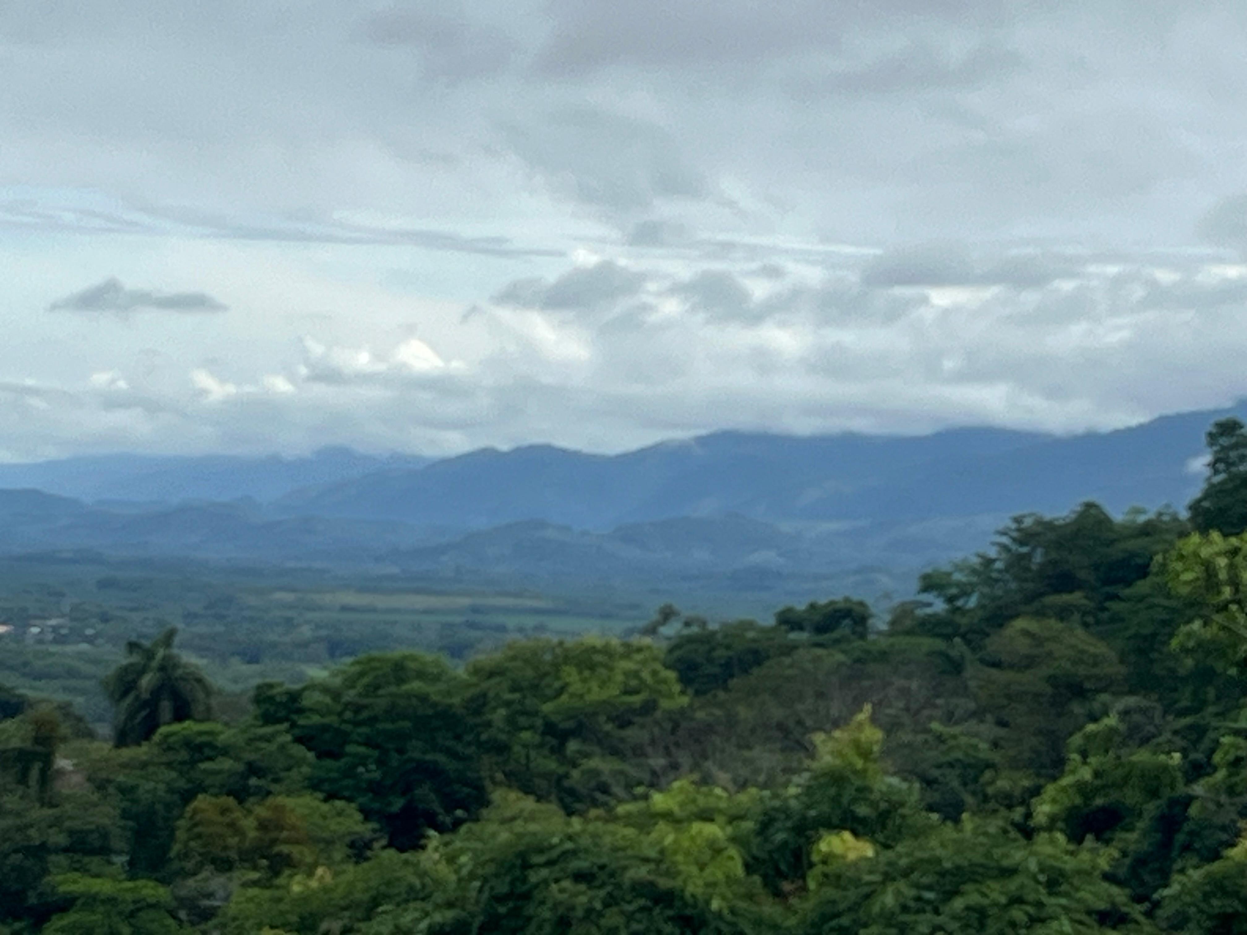 Restaurant view 1