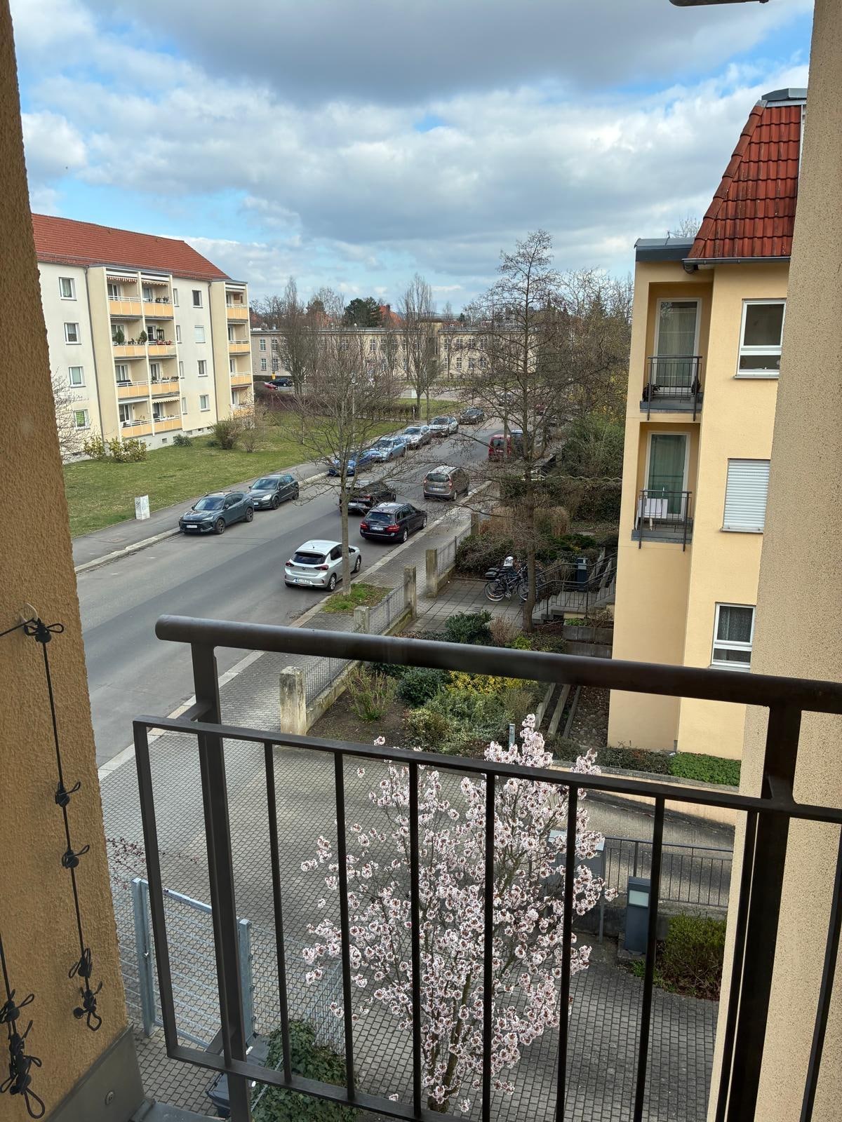 Blick aus dem Wohnzimmer 