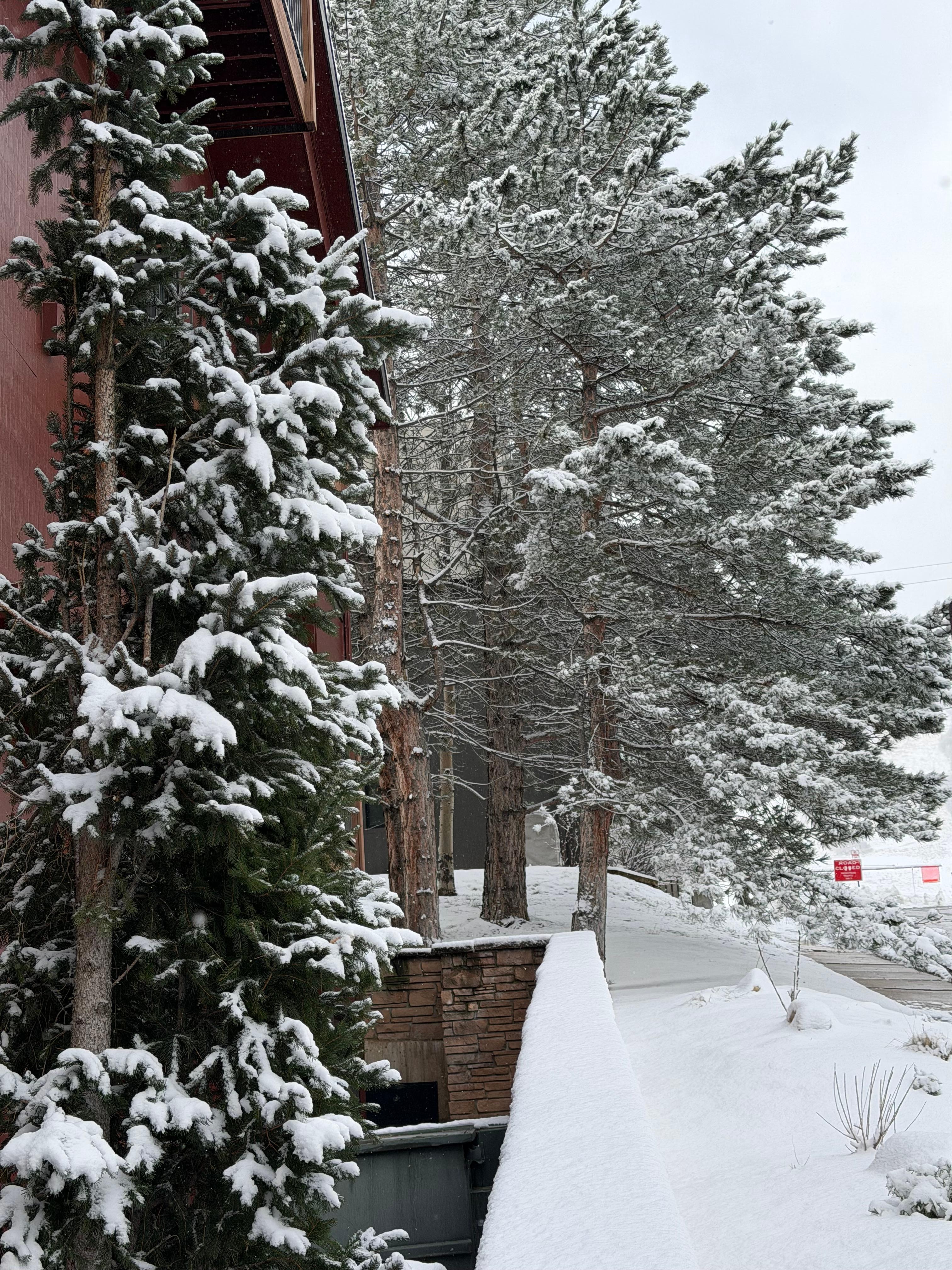 Side of building with snow - facing resort at the end of the road 