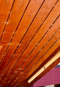 Spider webs outside our door