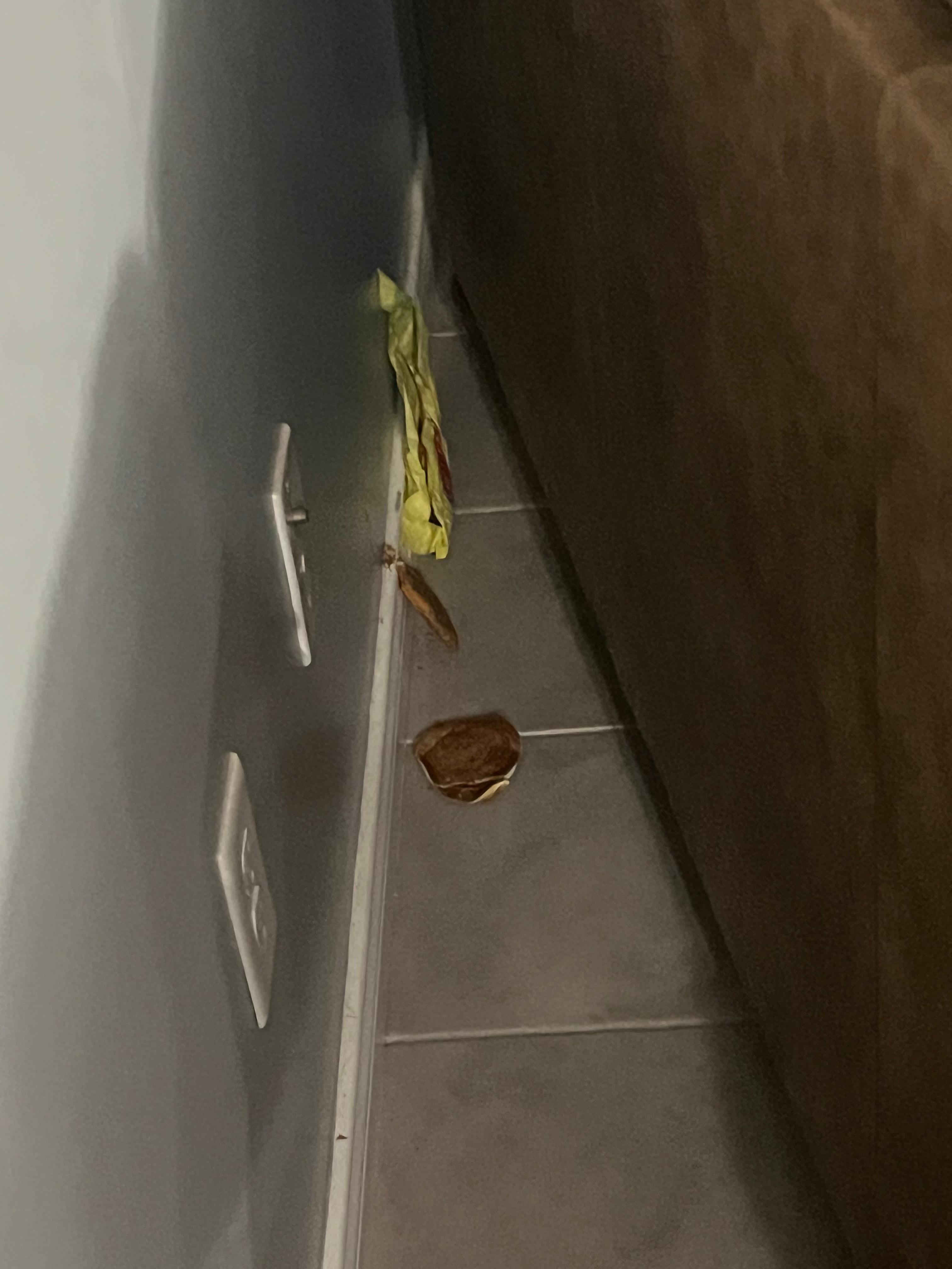 Hamburger and other trash behind couch. It had clearly been there for awhile. 