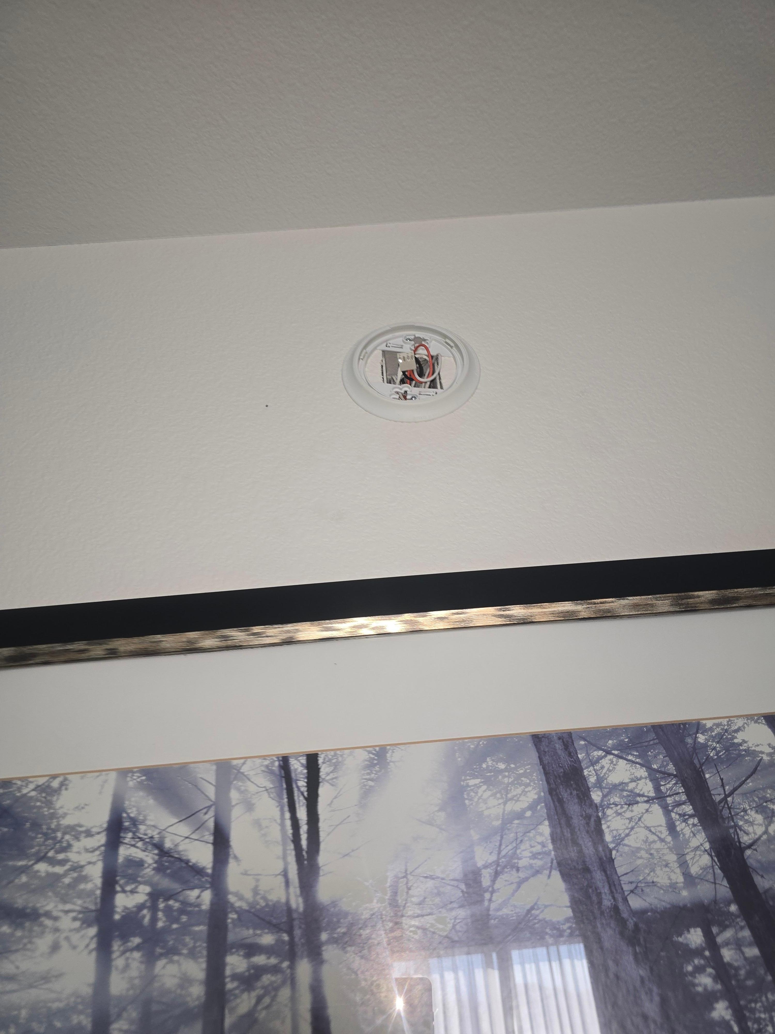 Smoke detector missing