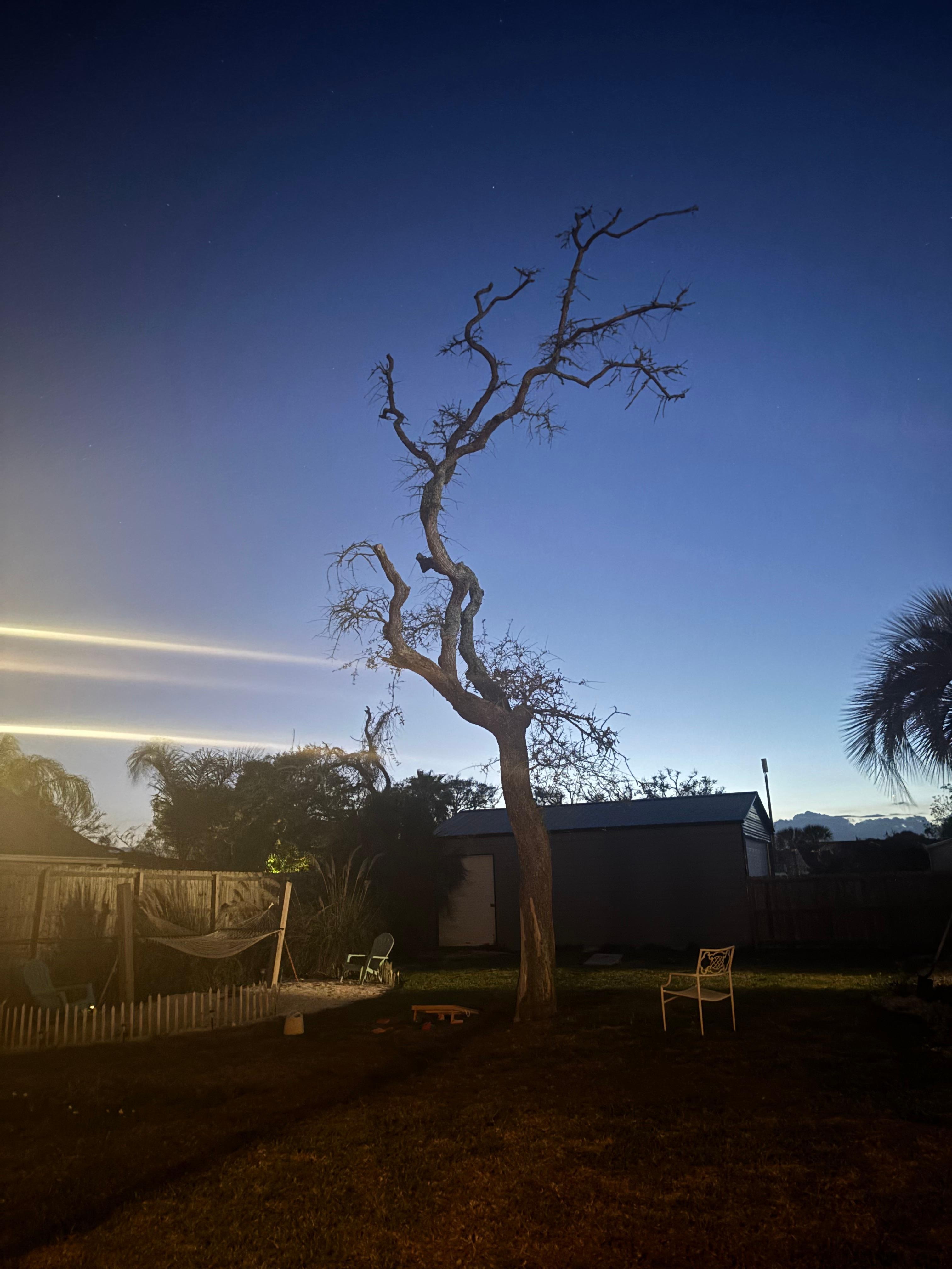 Great night shot in the backyard!