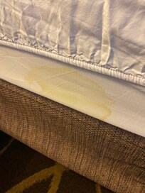 Stained mattress pad