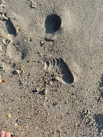 Foot print