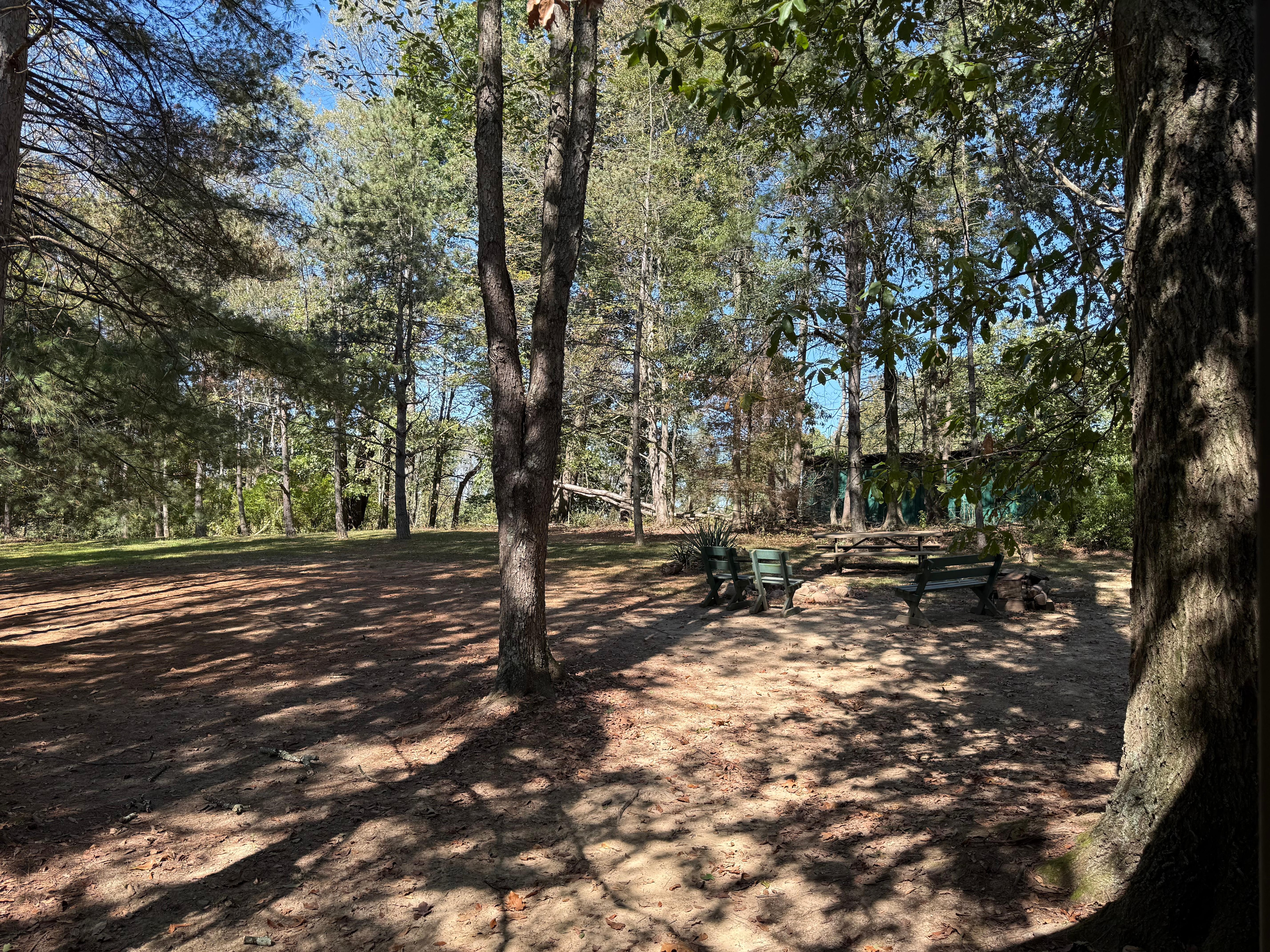 The view of the fire pit and surroundings.
