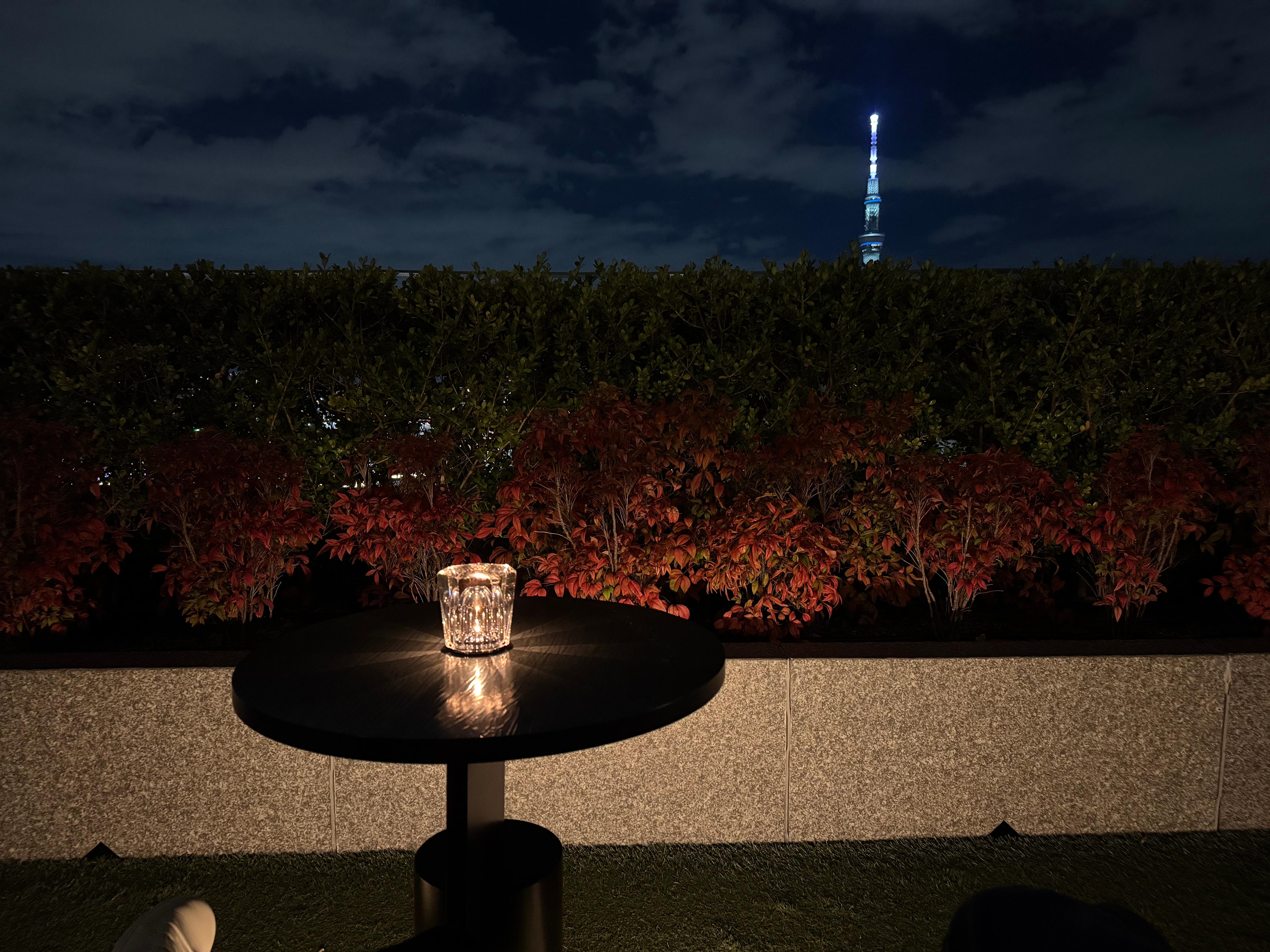 View from the rooftop terrace.