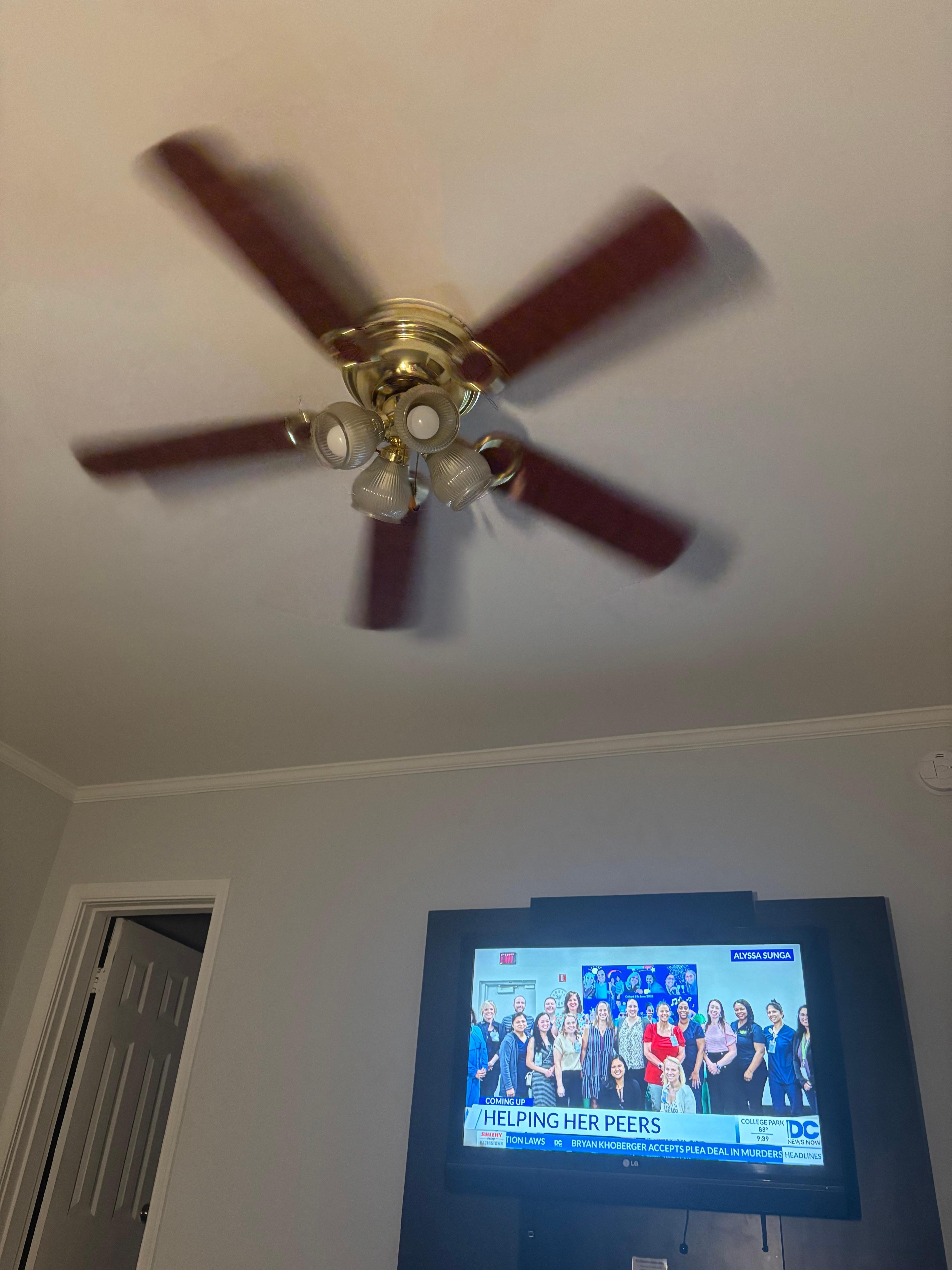 Fan!!!!