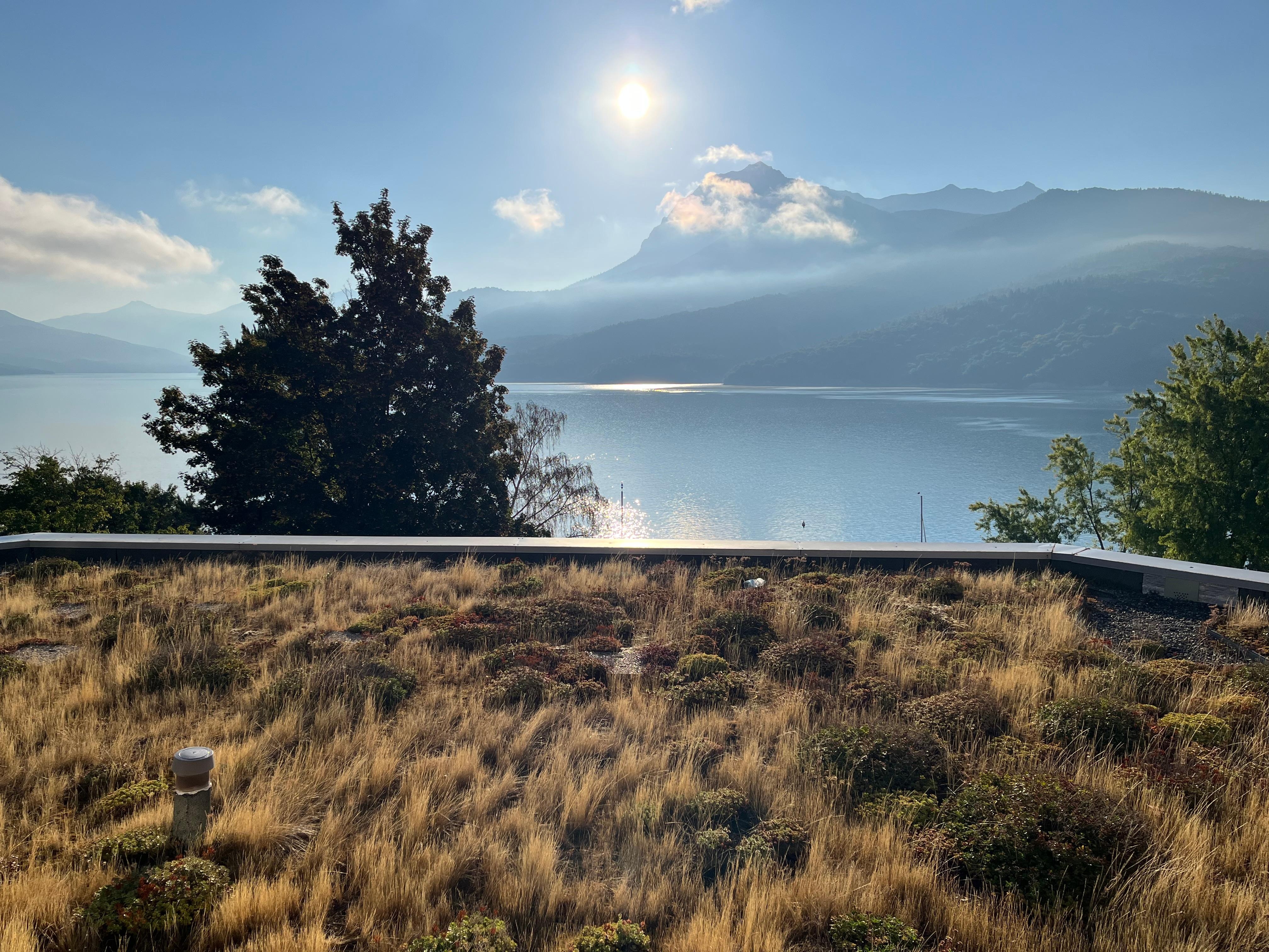 Le toit végétal au niveau du solarium 