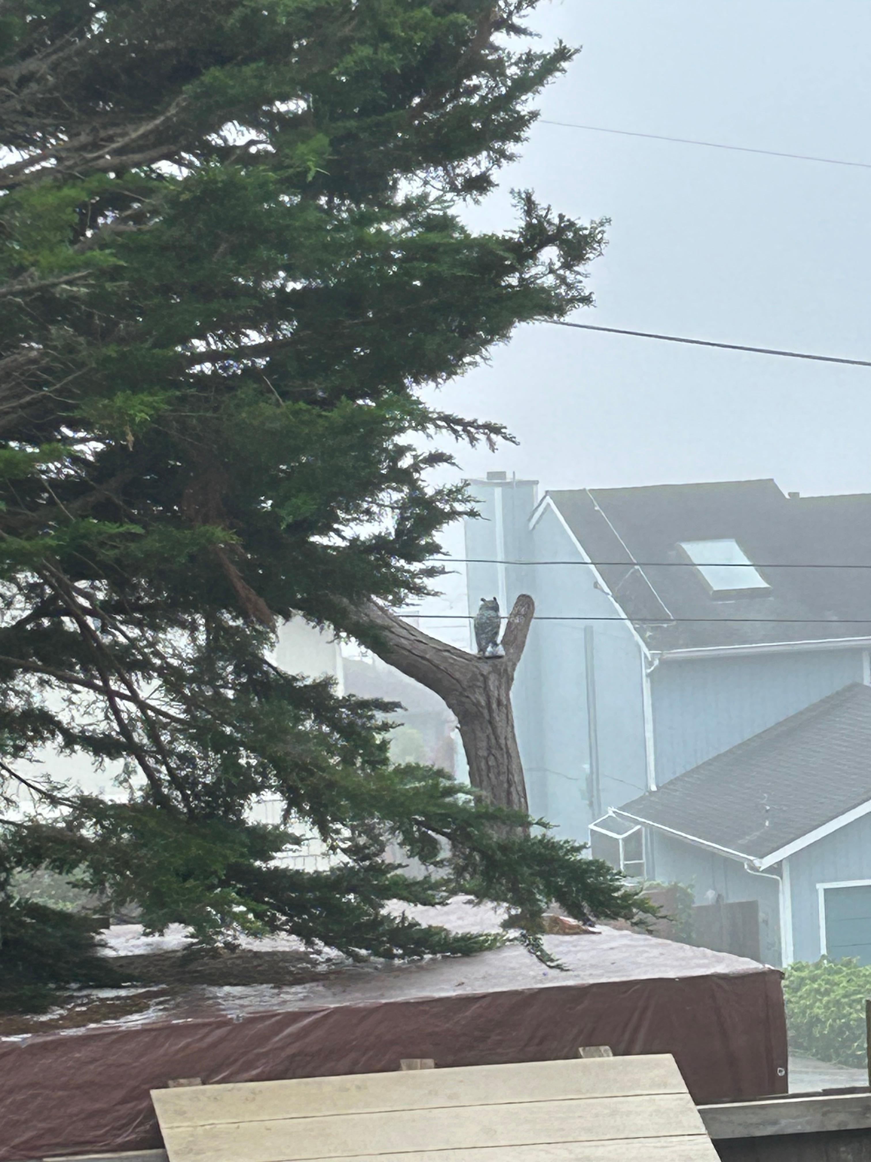 Fall = Fog just bring layers