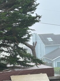 Fall = Fog just bring layers