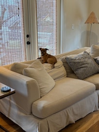 Definitely a comfortable place for our dogs