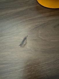 One of the Suspicious burns