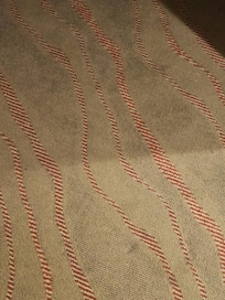 Nasty dirty carpet